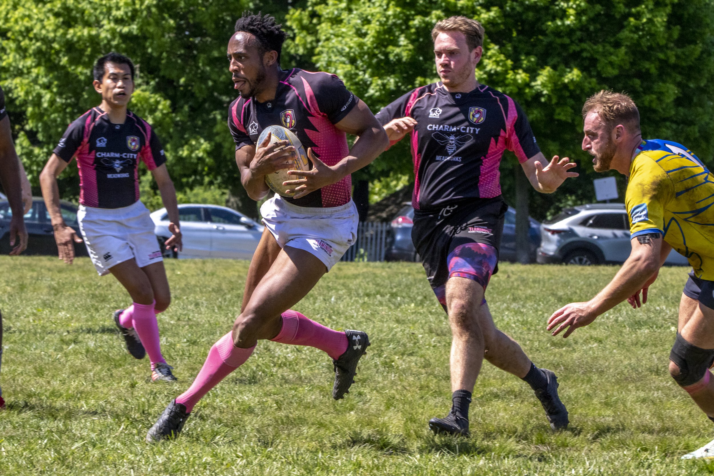 BALT_FLAMINGOS_2023_0506_125212-8222_MWD.JPG