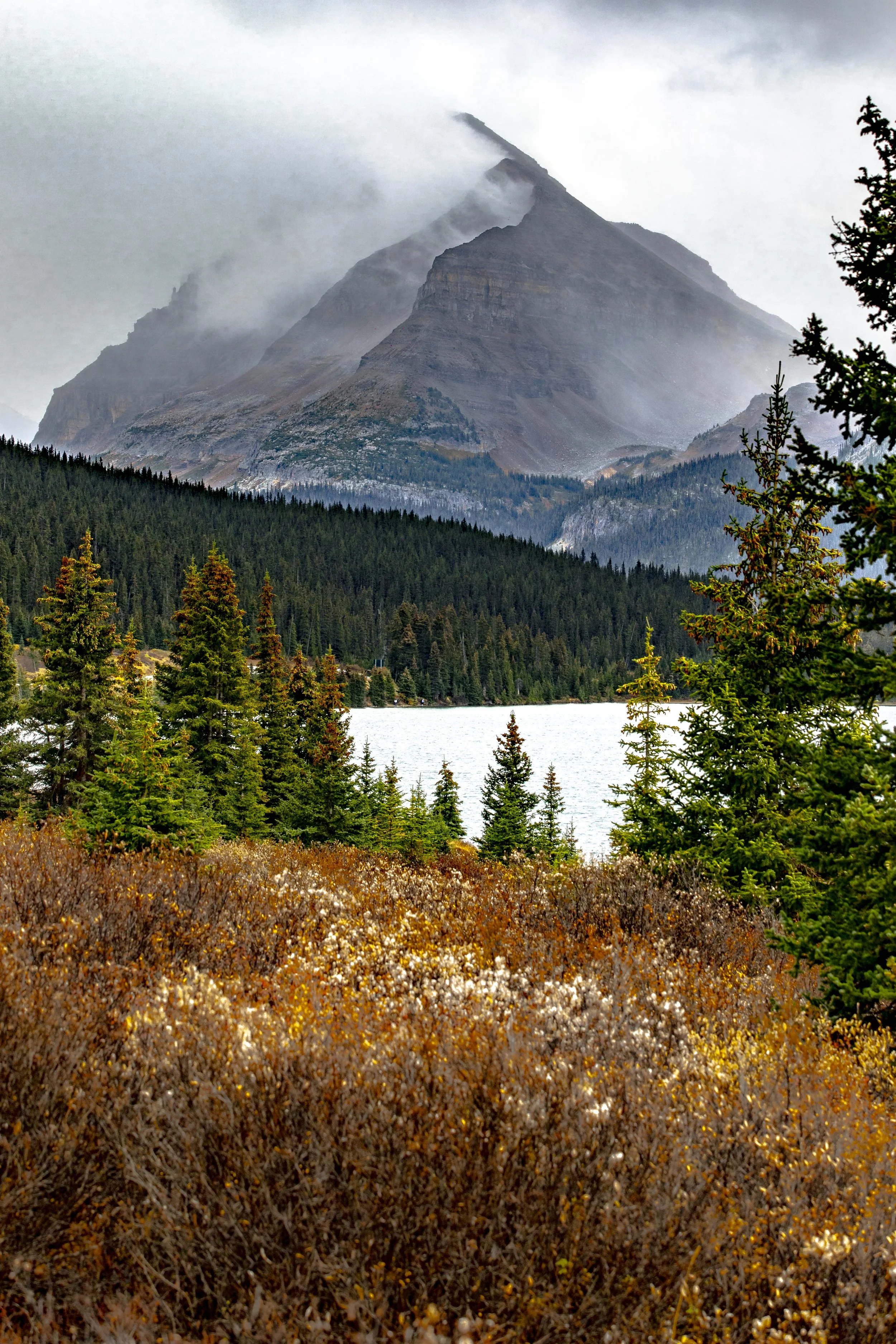 CANADA25_2025_10_02_17_5554_MWD_3V2A1399.jpg