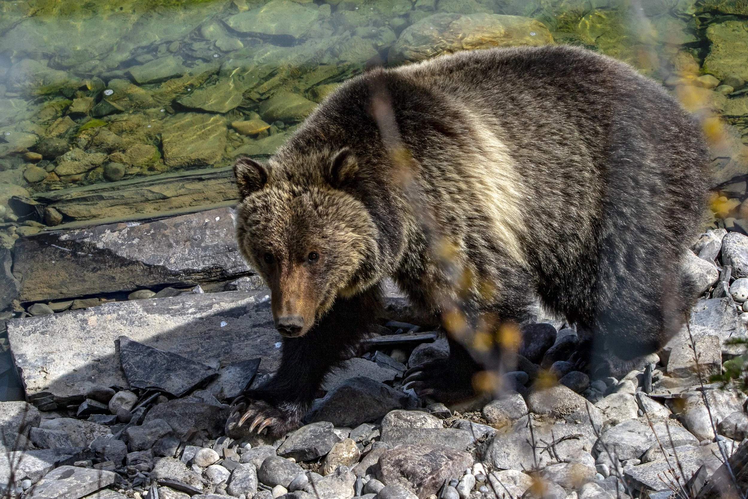 BANFF_EX4_2022_0522_125553-9922_MWD.JPG