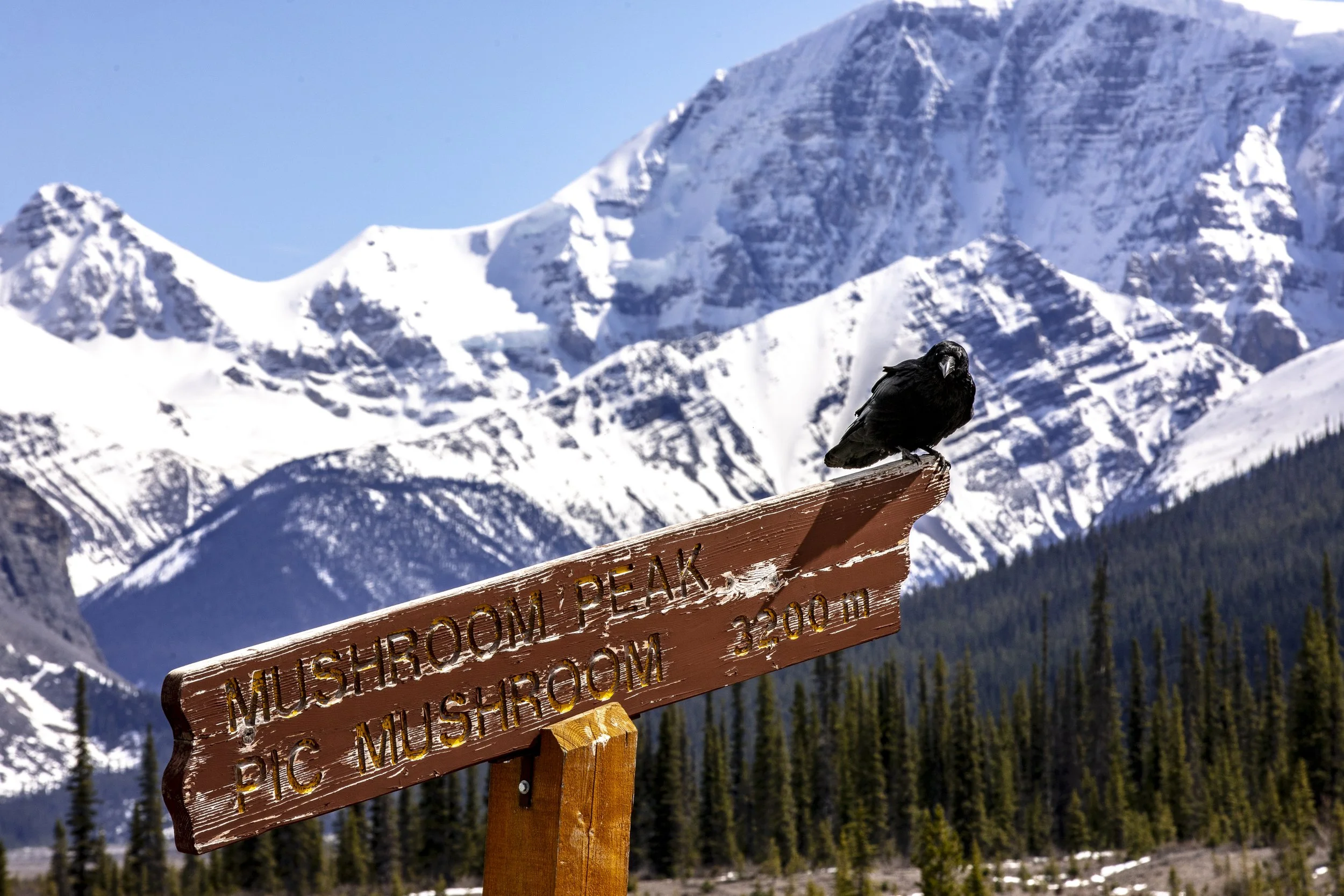 BANFF_EX4_2022_0522_180927-0178_MWD.JPG