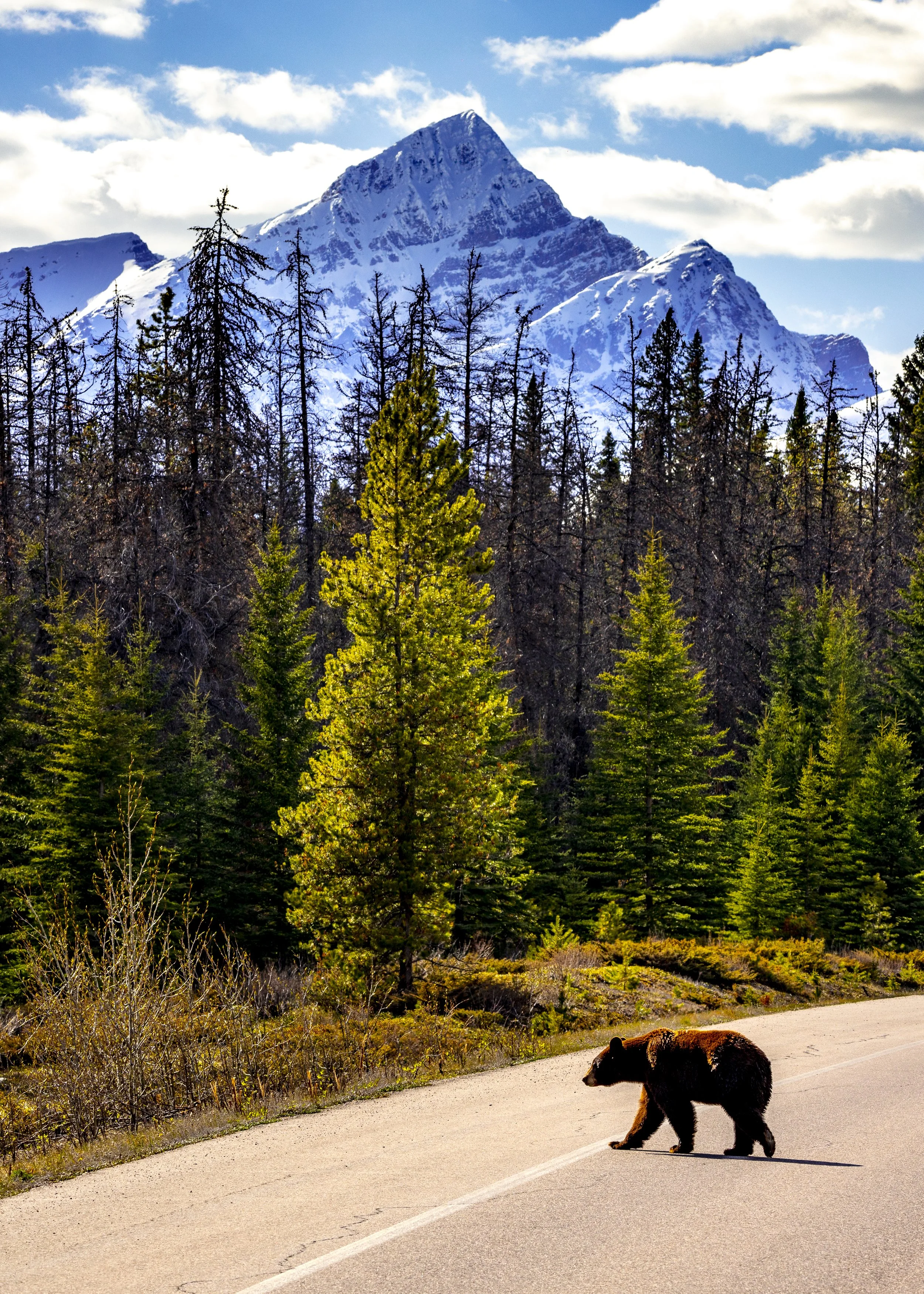 BANFF_EX4_2022_0522_195749-_MWD.JPG