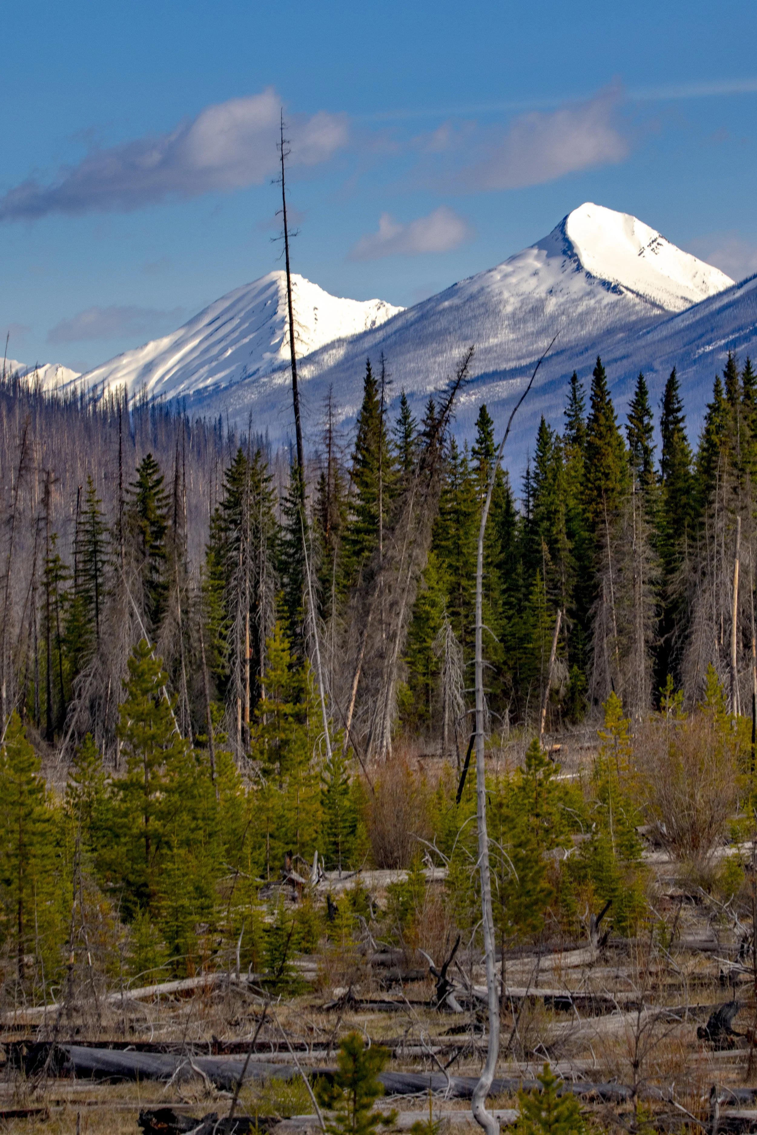 BANFF_EX4_2022_0526_082306-1250_MWD.JPG