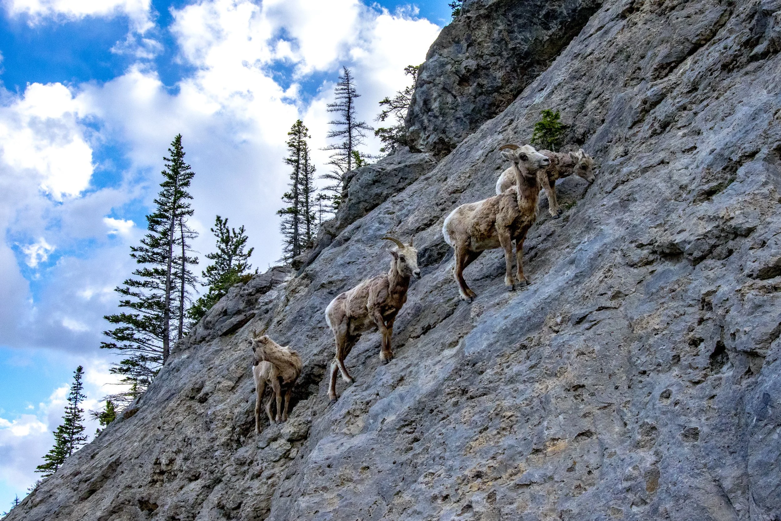 BANFF_2019-4.JPG