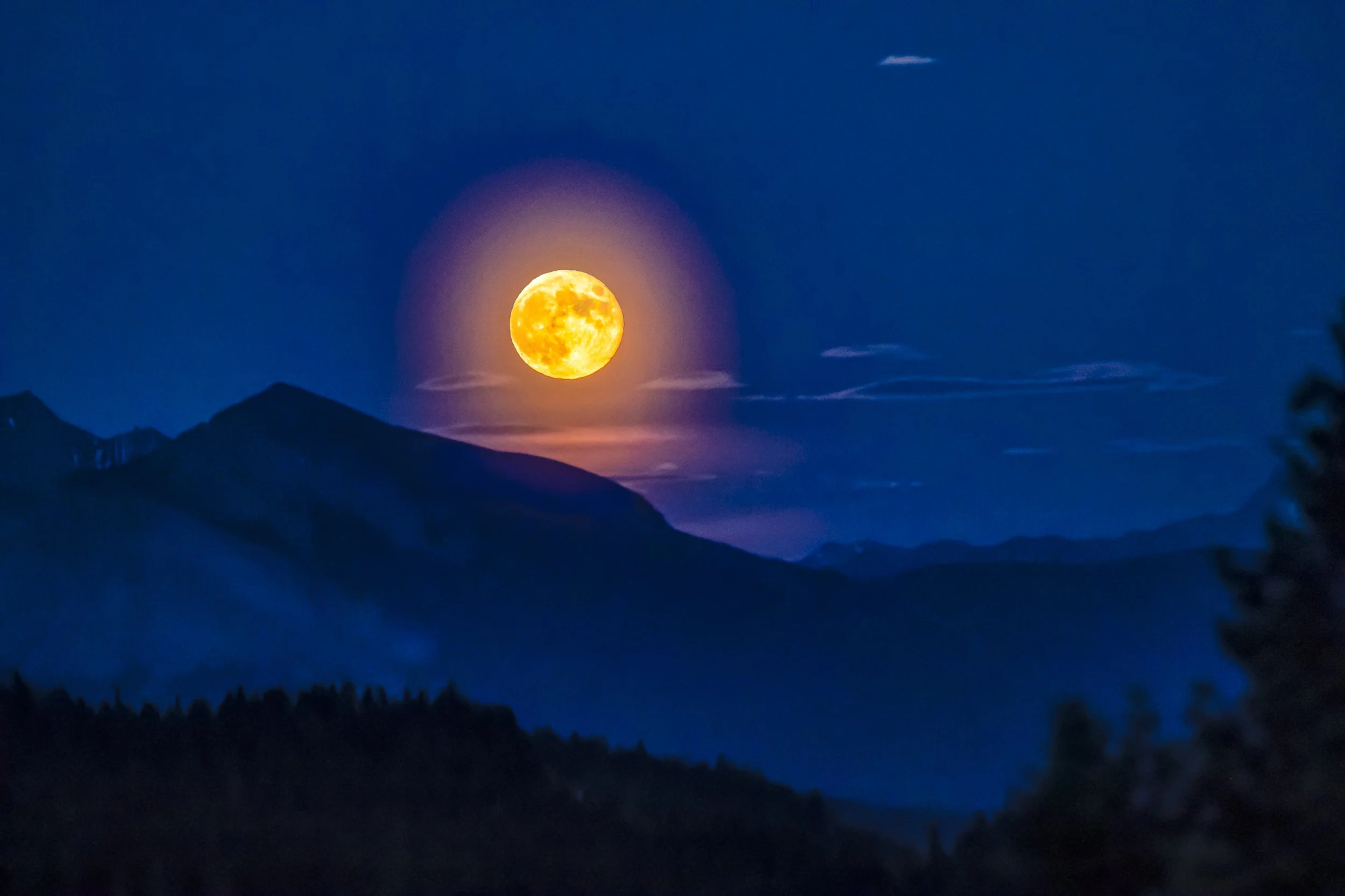 BANFF_2019-55.JPG