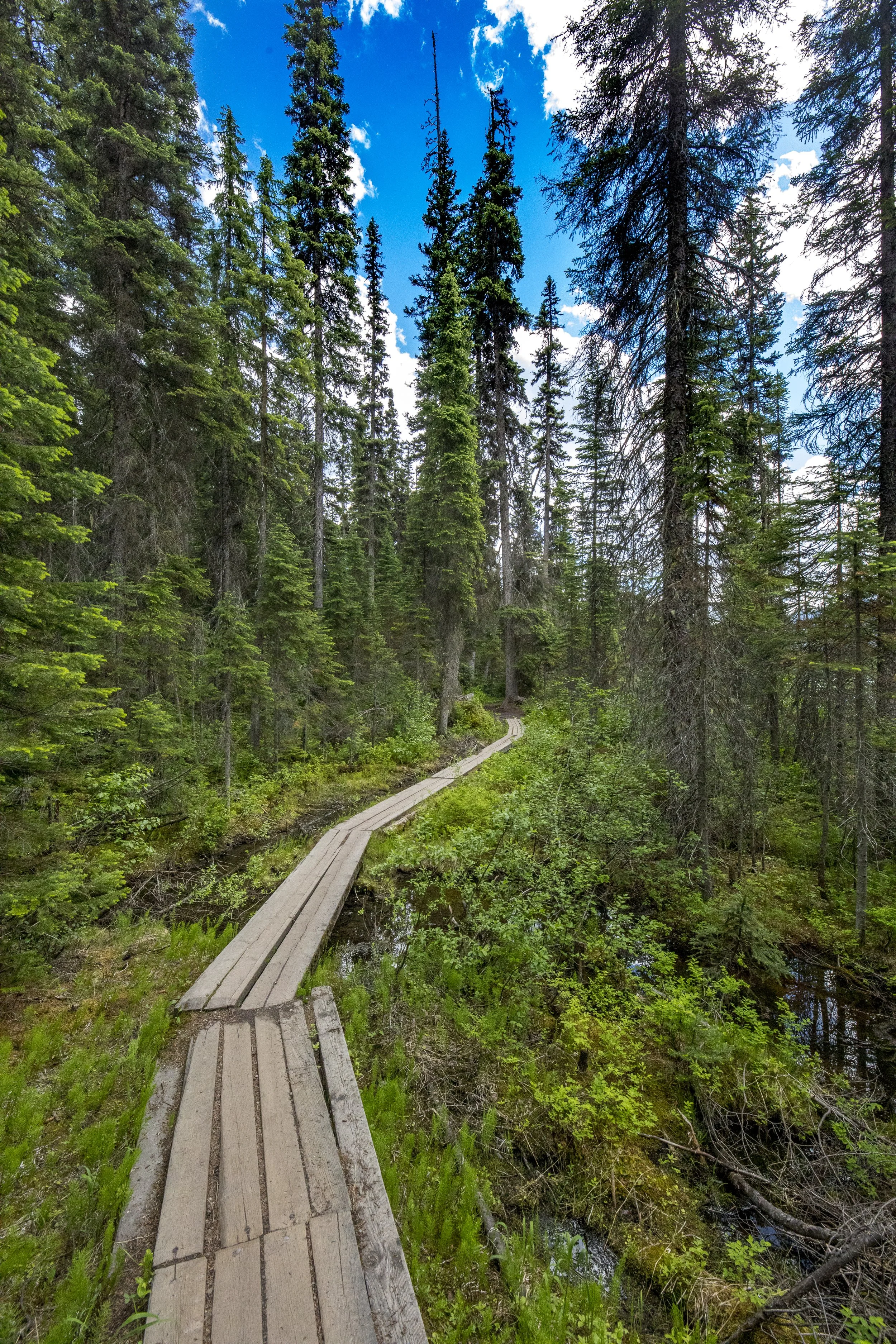 BANFF_2019-70.JPG