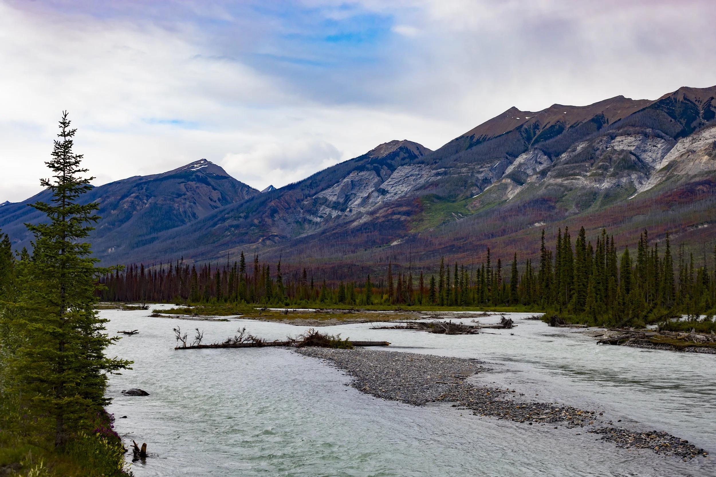 BANFF_2019-91.JPG