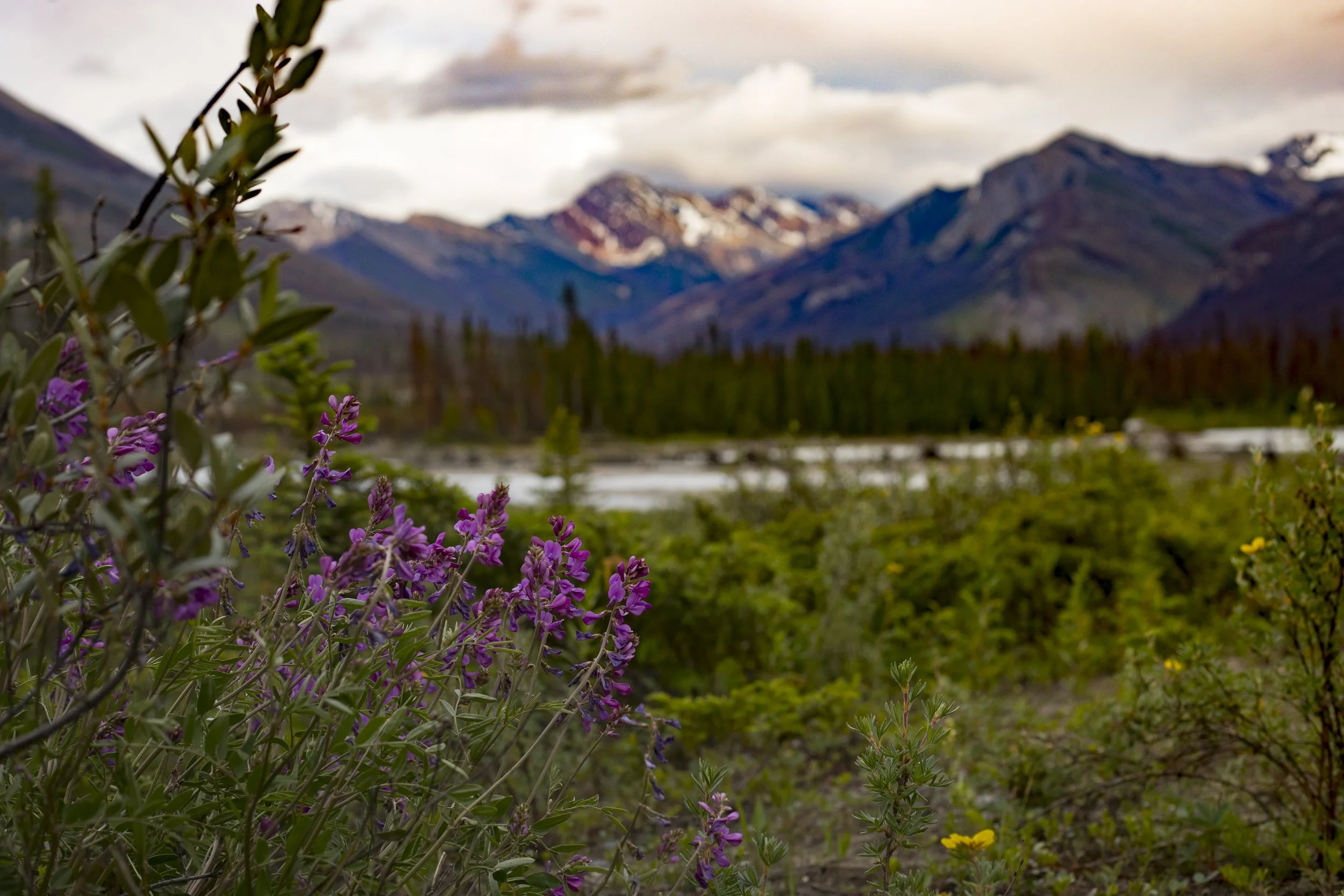 BANFF_2019-93.JPG