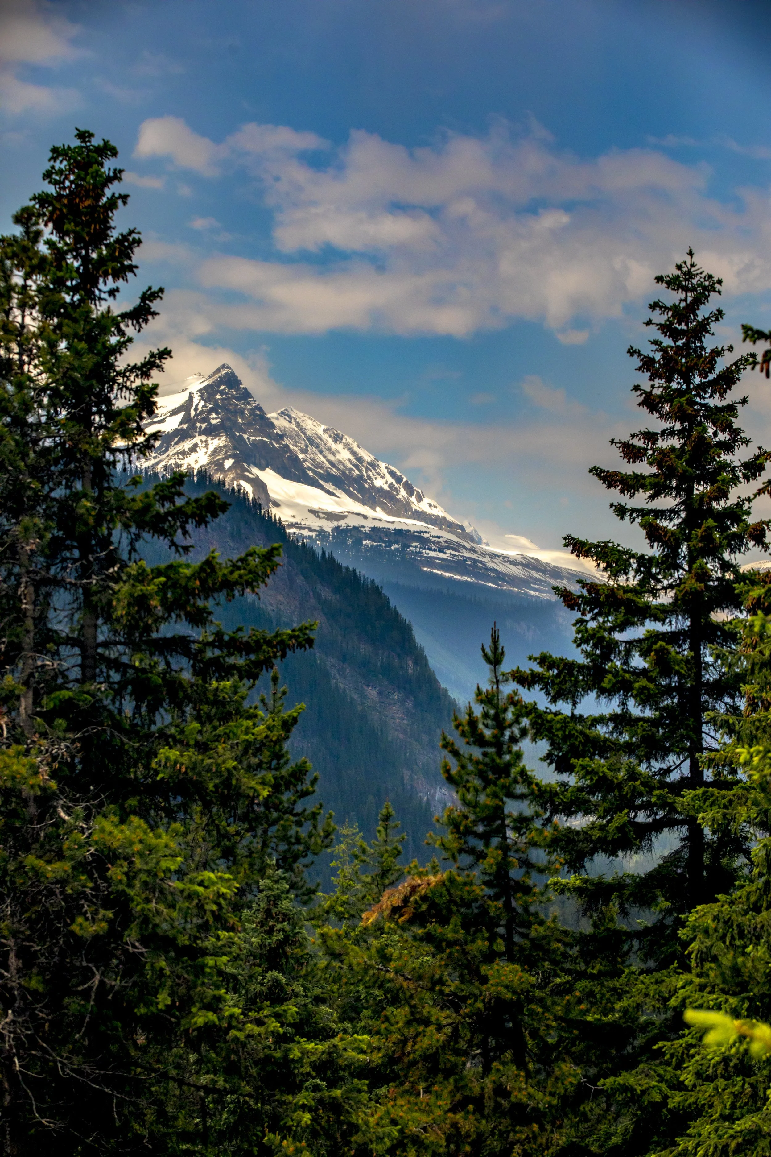 BANFF_2019-132.JPG
