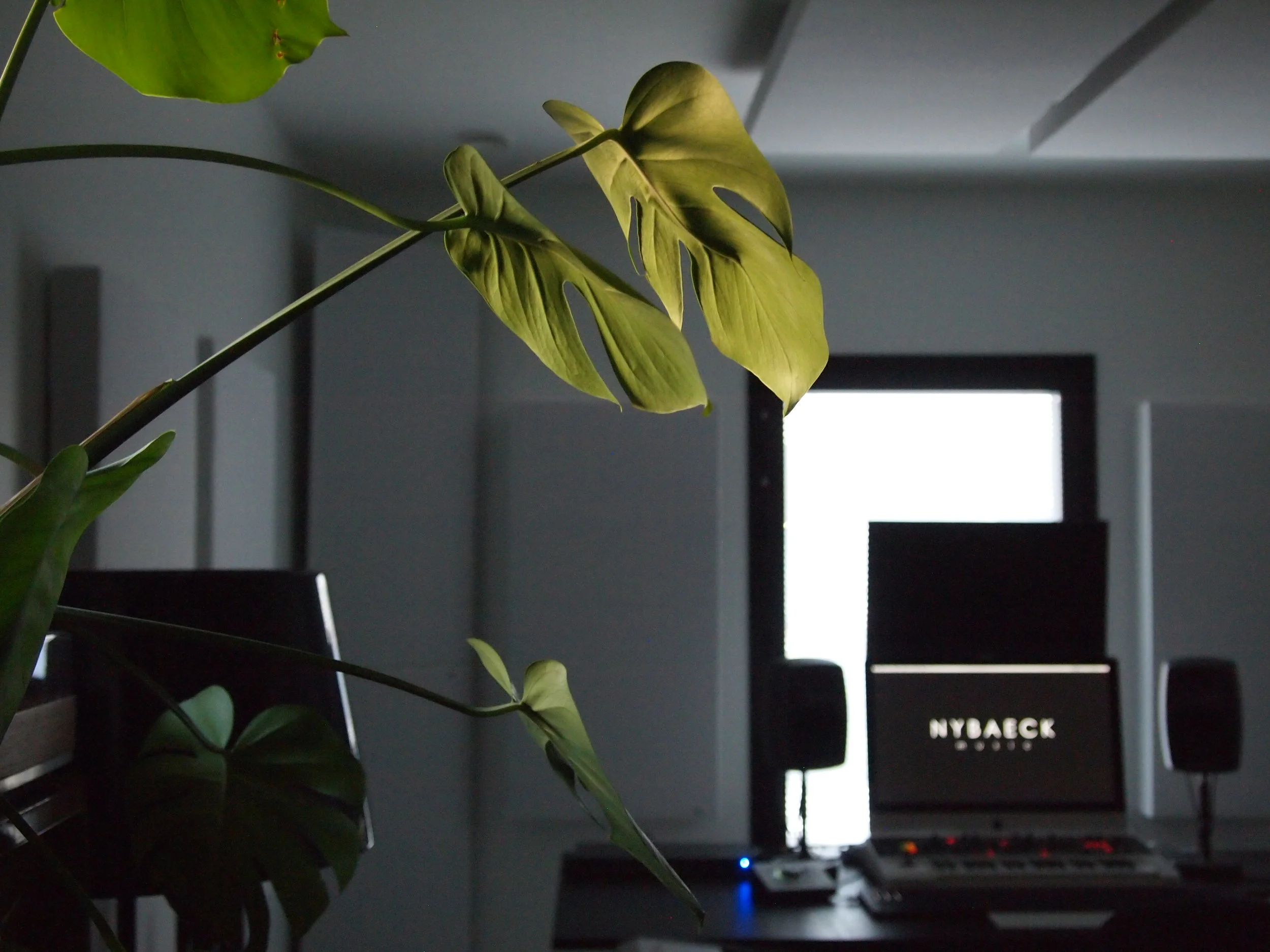 Studio 26072017-2.JPG