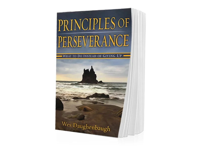 Principals Of Perseverance, What To Do Instead Of Giving Up