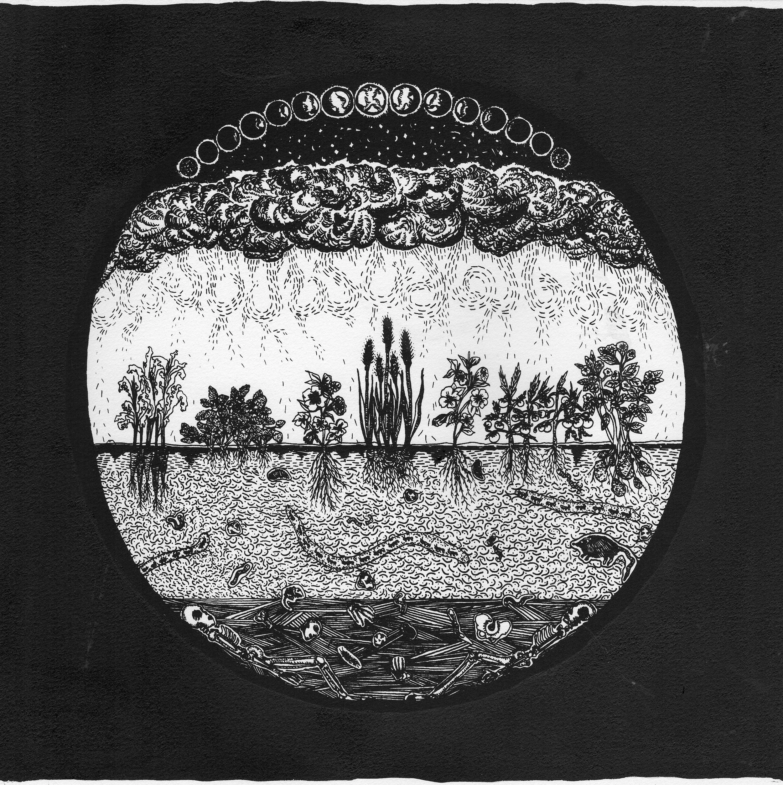 4E4CFCEA-2B63-46FA-94F5-5C95BAD074D9