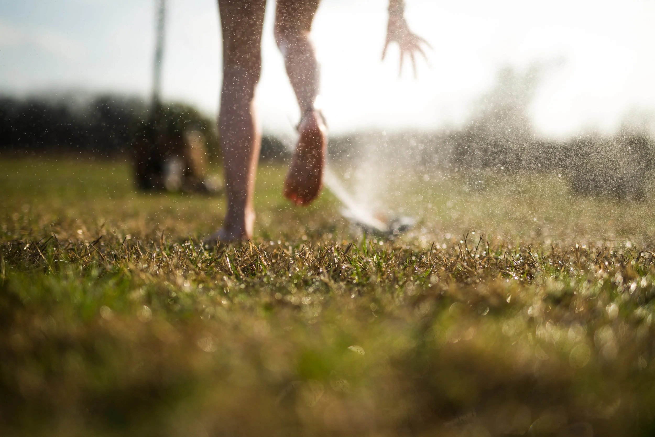 03.17.17 sprinklers hand-1707.jpg