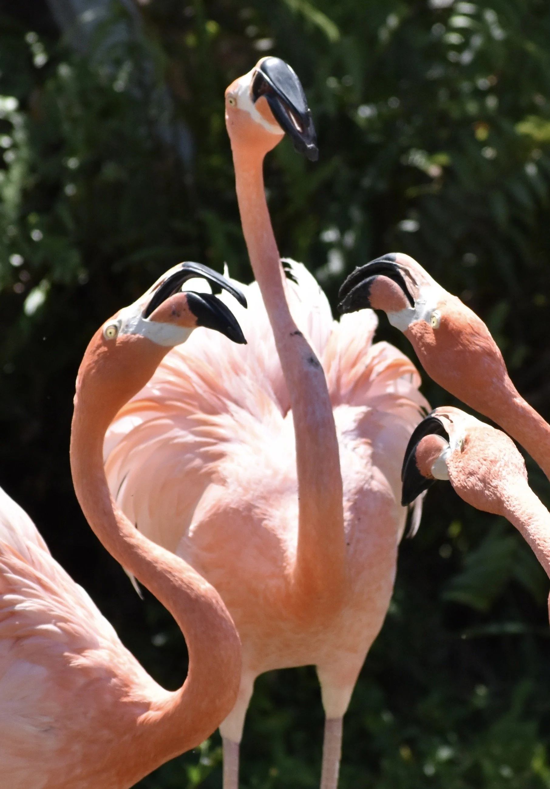 tall tales inspiration photo.jpg