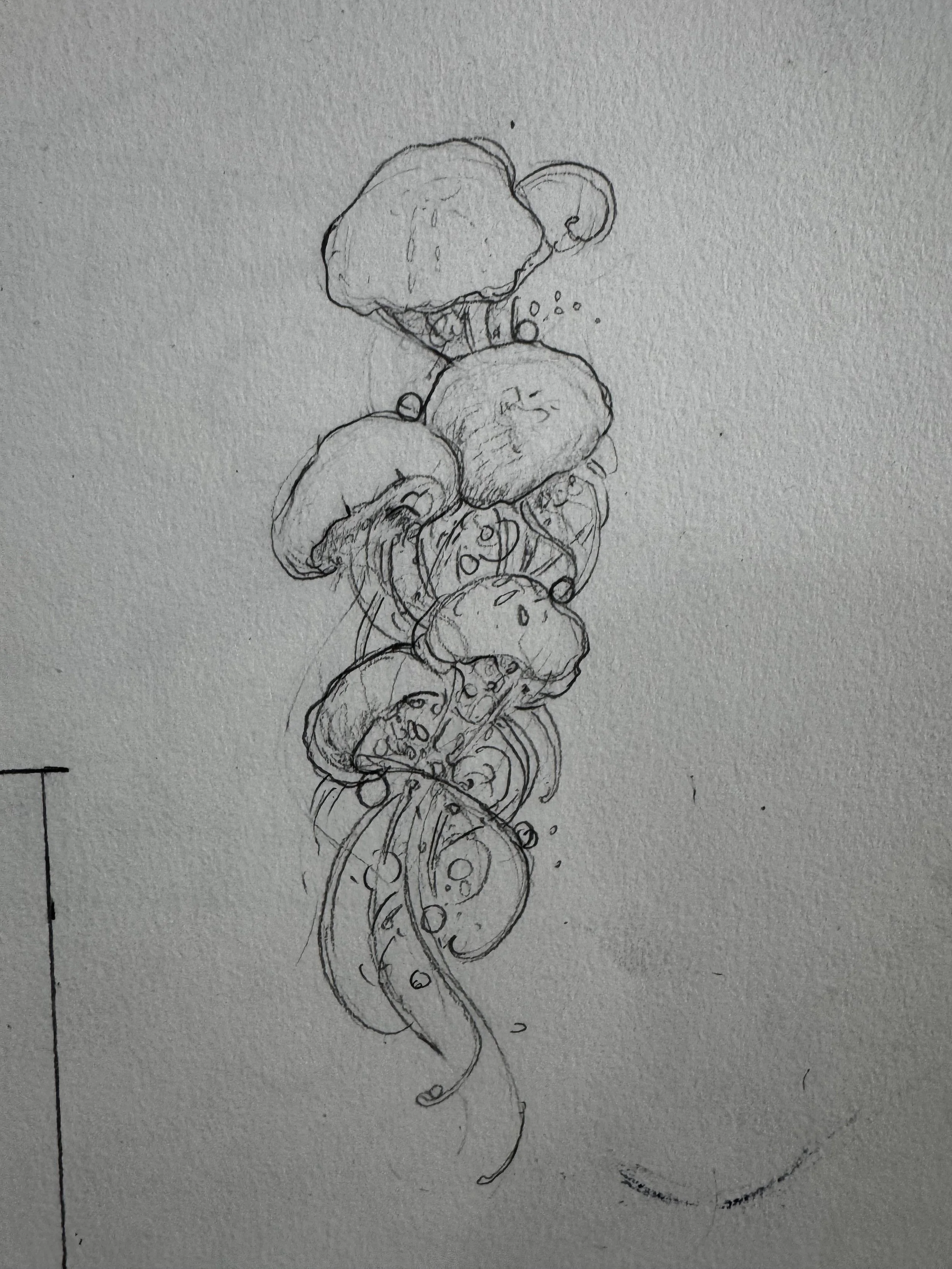 2026-01-26 13.59.32.jpg