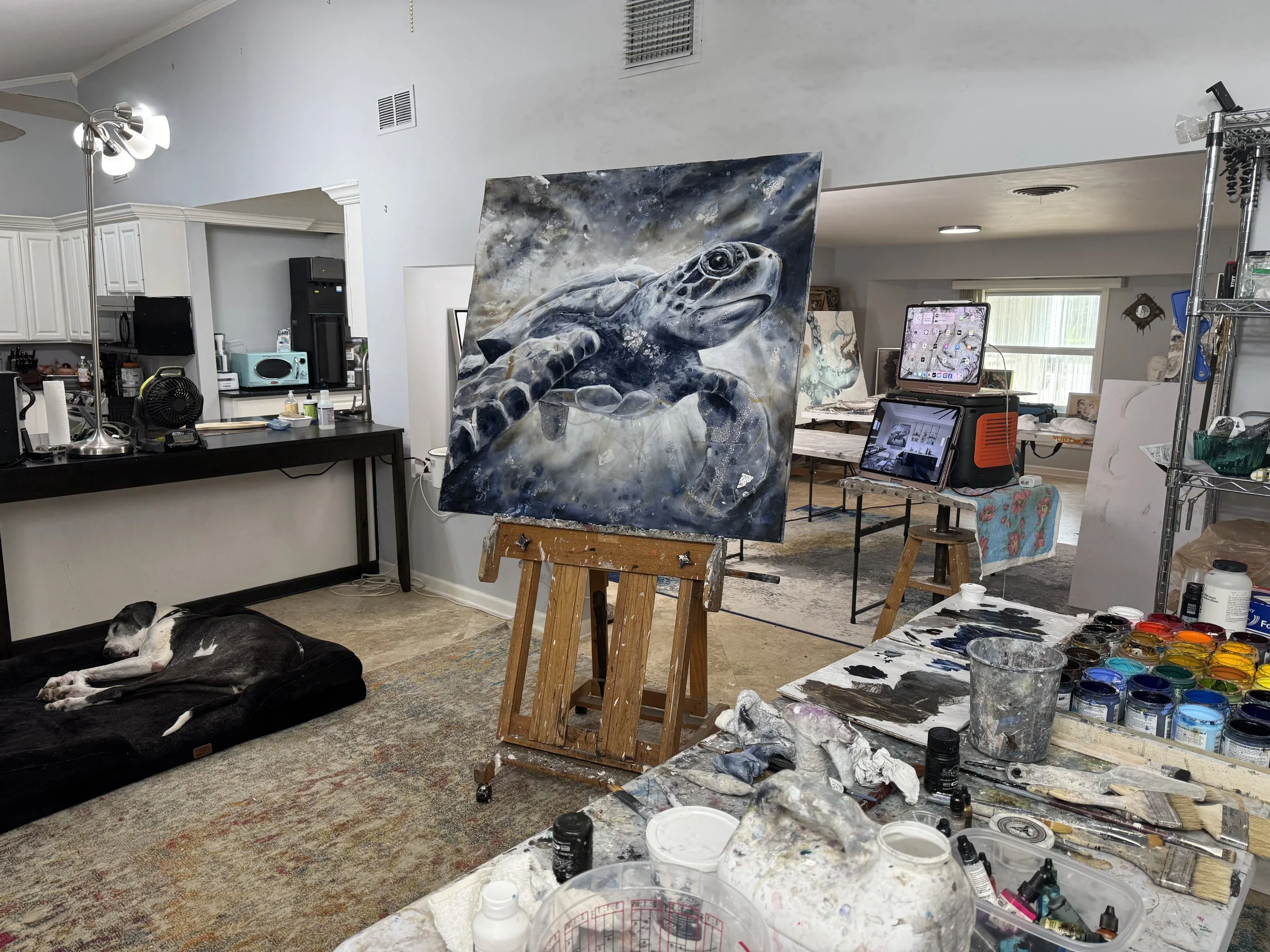 2026-01-30 12.19.04.jpg