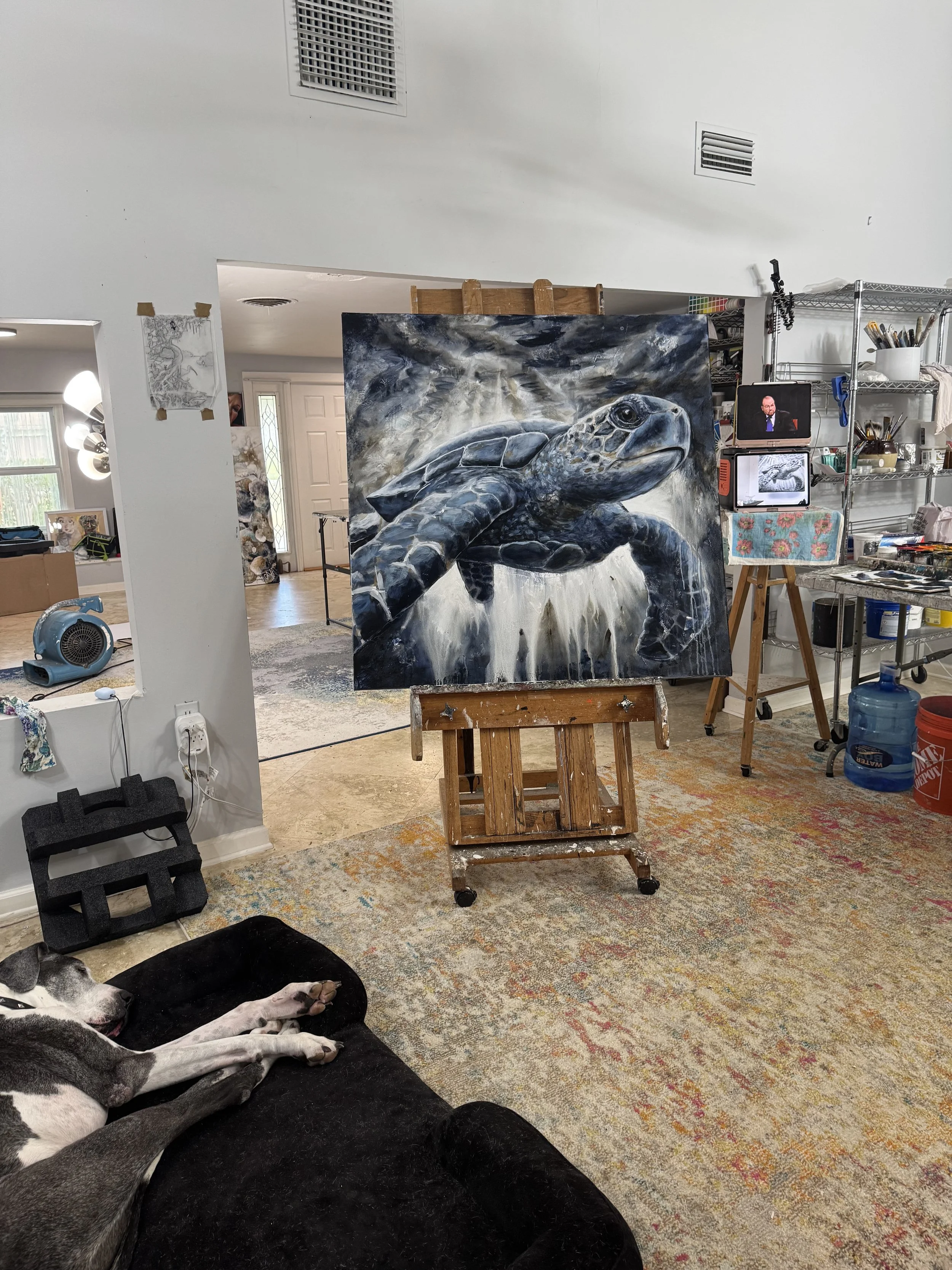 2026-01-31 14.23.12.jpg