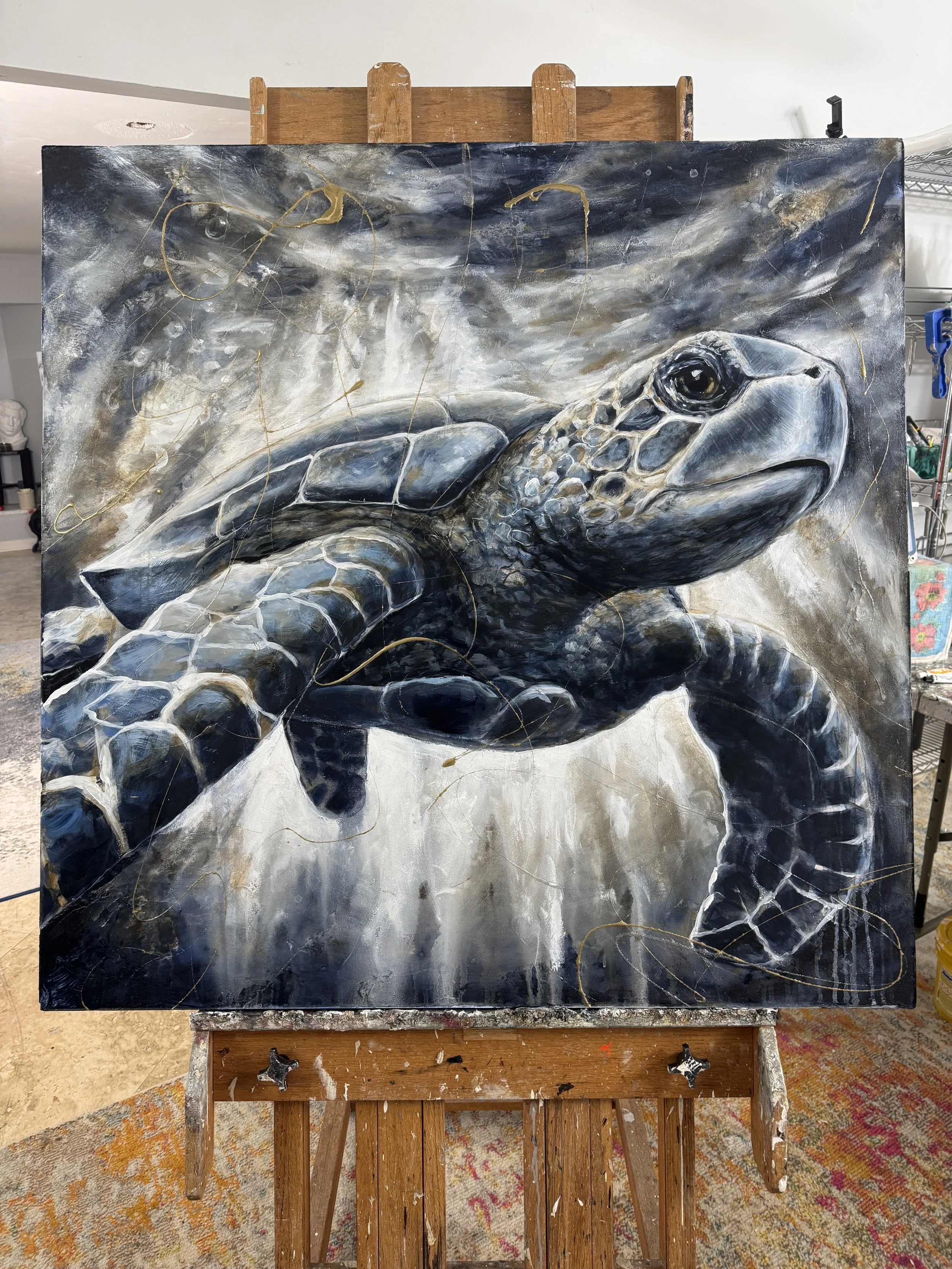 2026-02-01 11.59.02.jpg