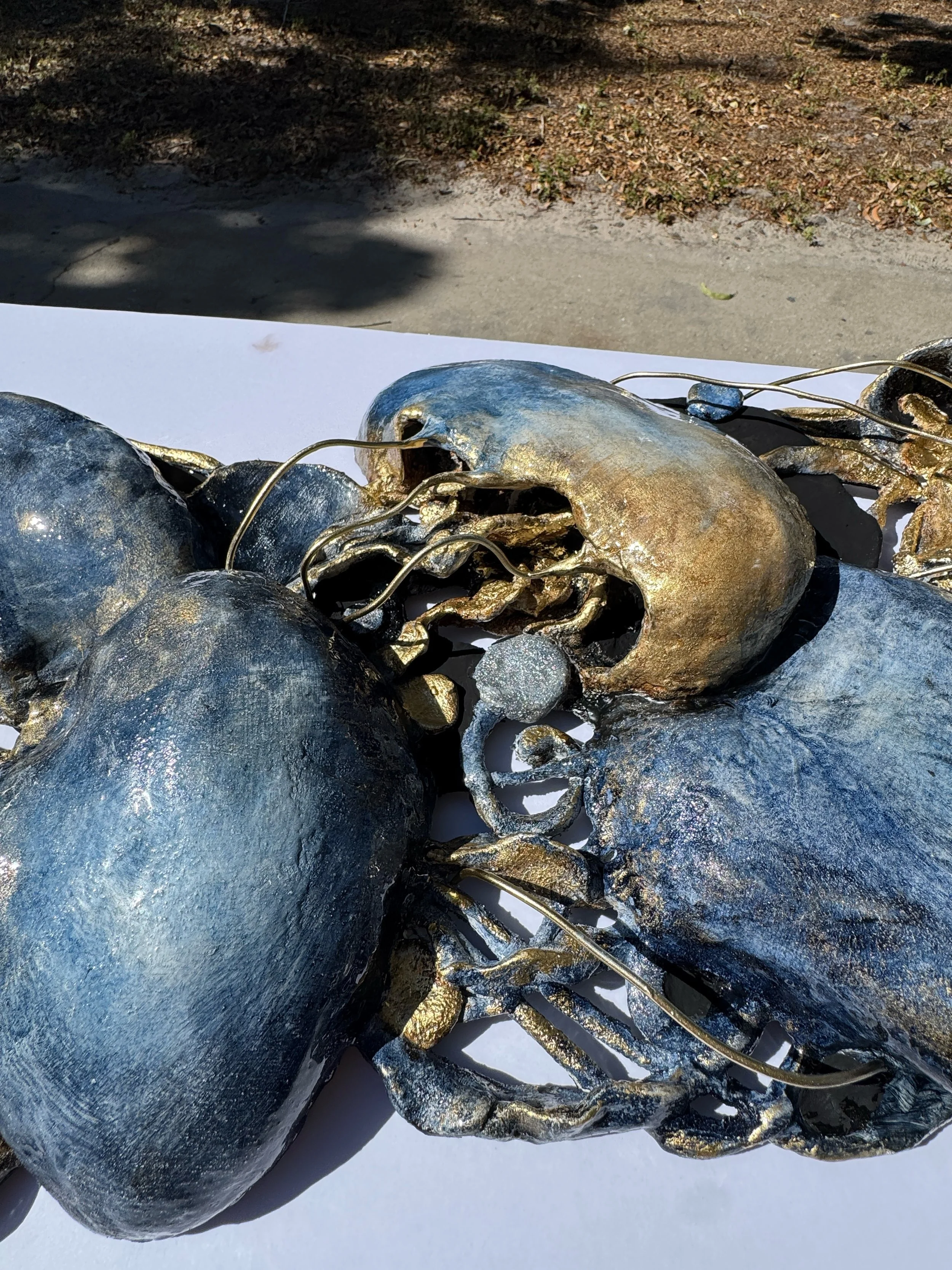 2026-02-03 11.13.23.jpg