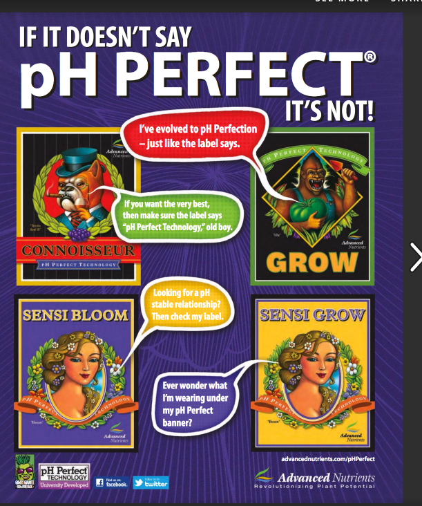 Screen Shot 2019-03-29 at 5.37.03 PM.png