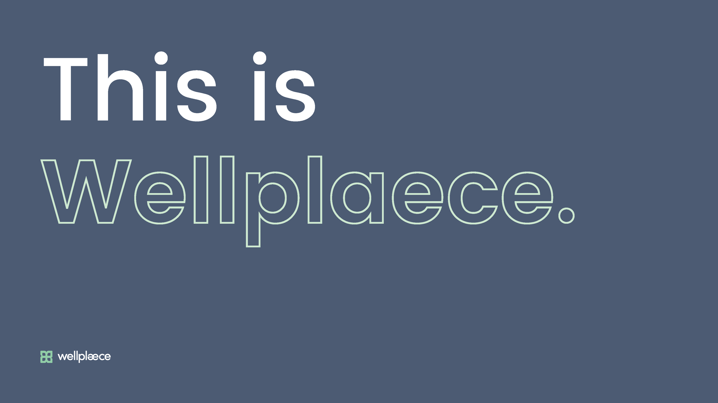 Wellplaece  Brandbook '23 🎯_Page_06.png