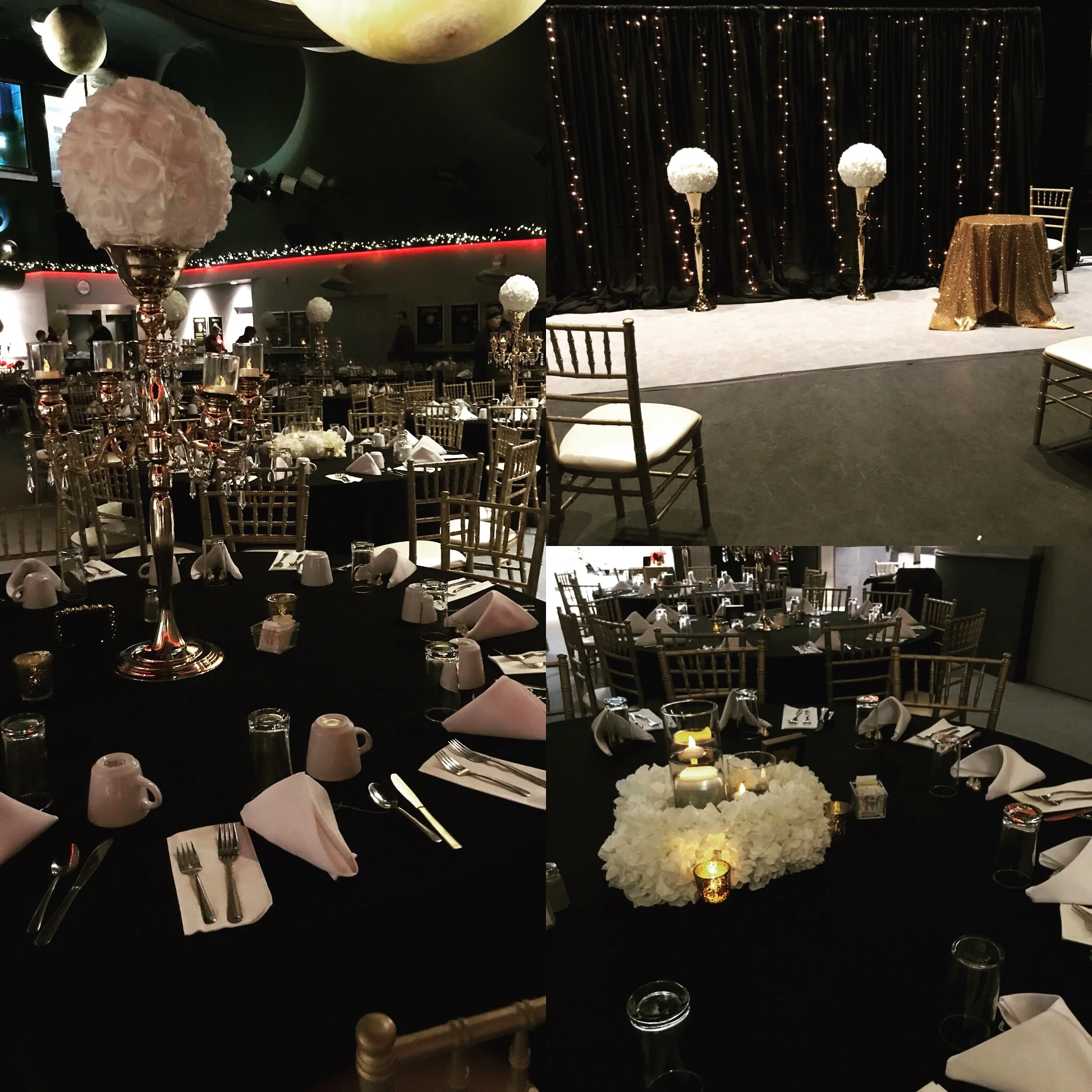 Gillian and Lee, The Johnson Geo Centre