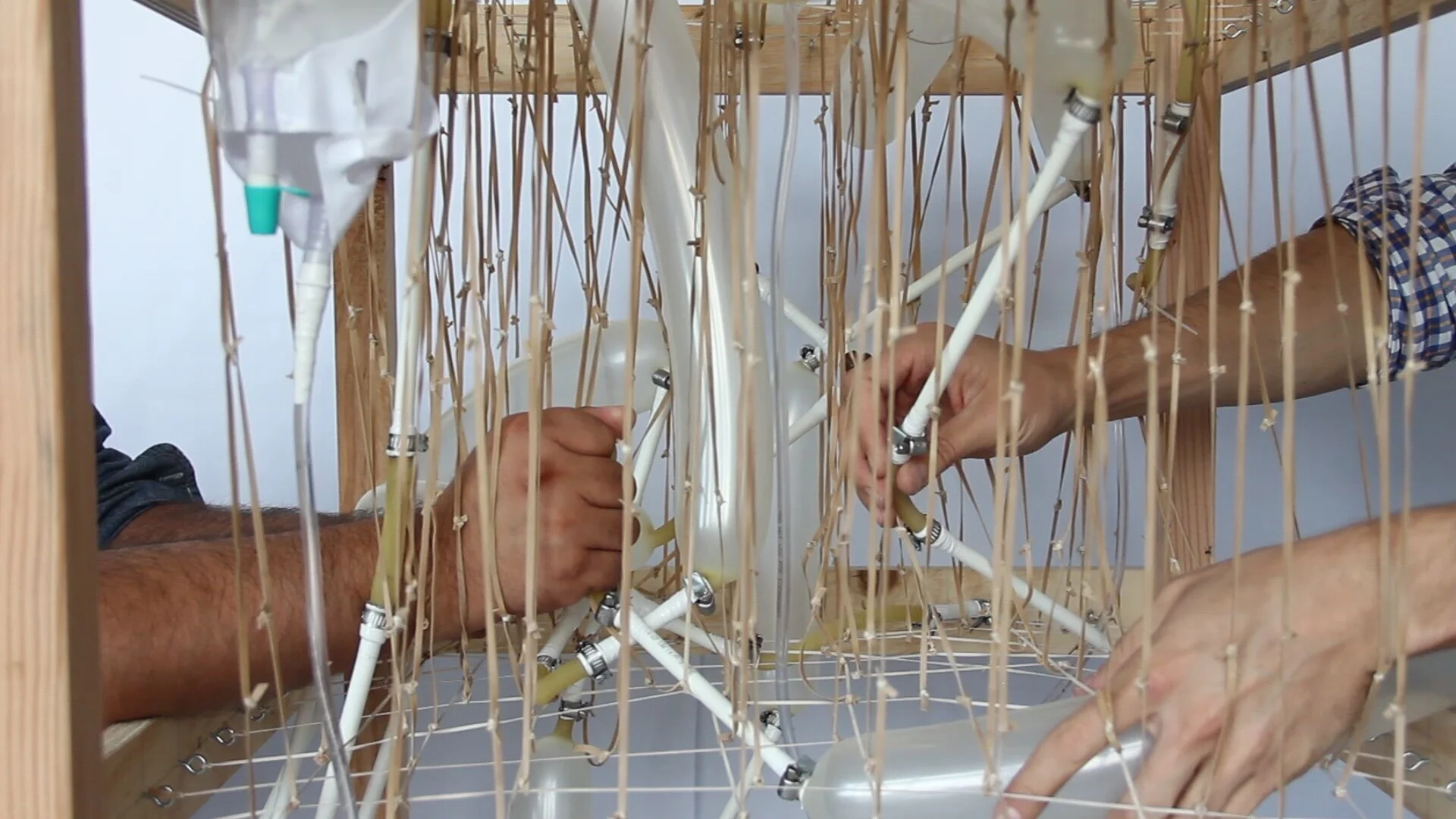 Architecture and the City Festival: We the City , Group Exhibition   California College of the Arts San Francisco, September 2019    Featured Project:     Inflatable Cities  &  The Divided Americas