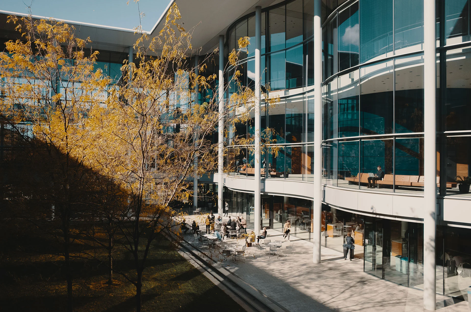 Business of Design at Yale — Ultra