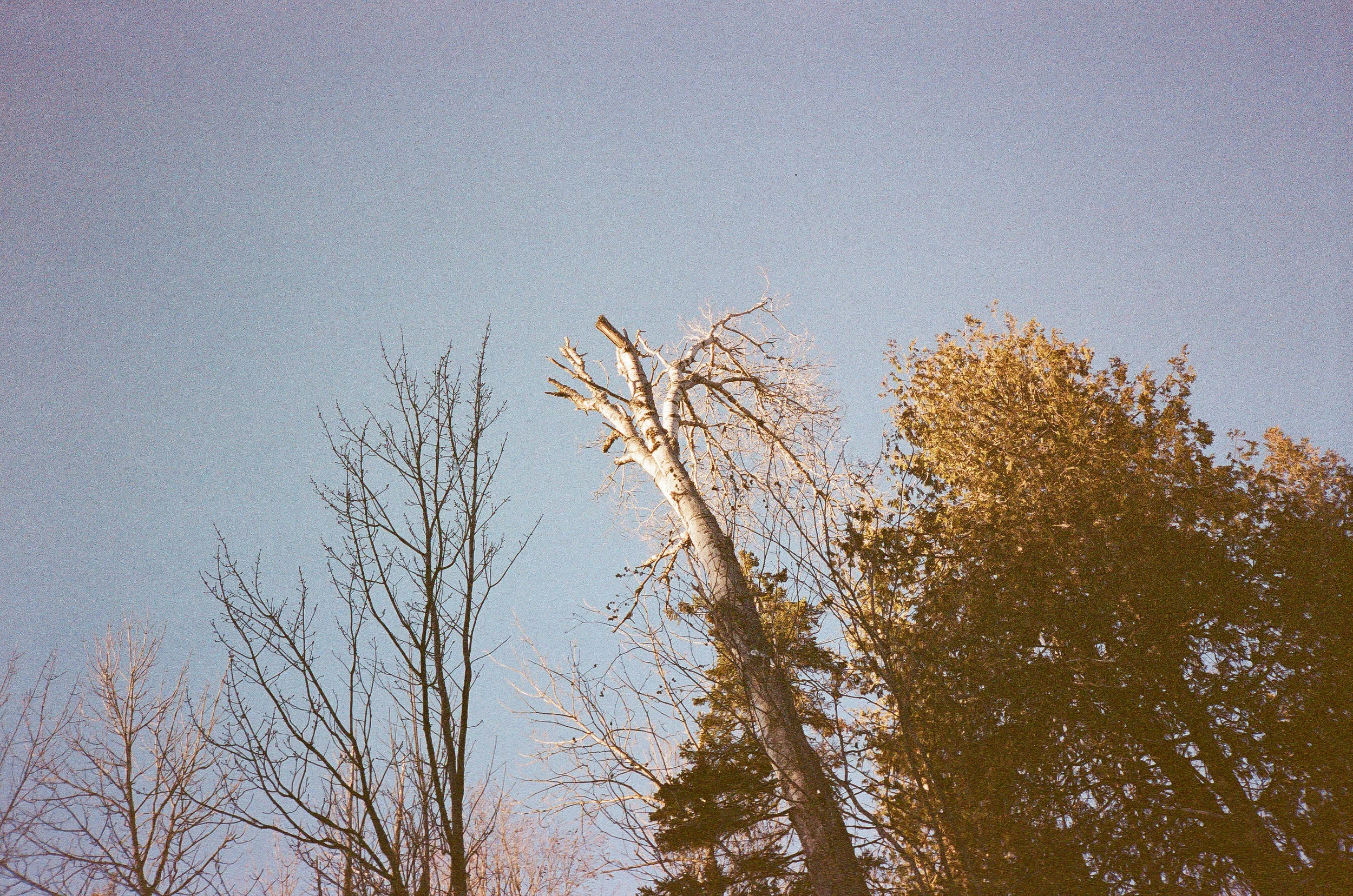 Suds-CIAS-TO-2.jpg