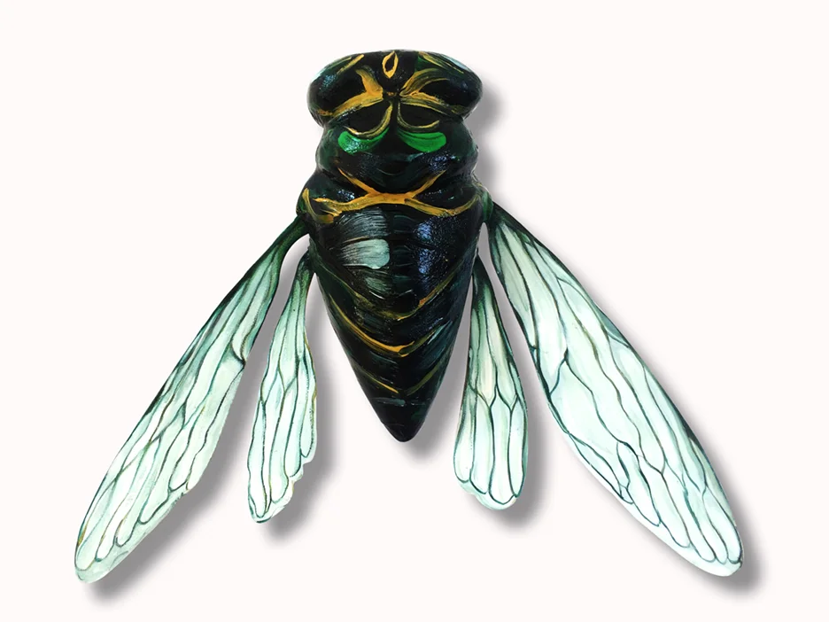 Cicada