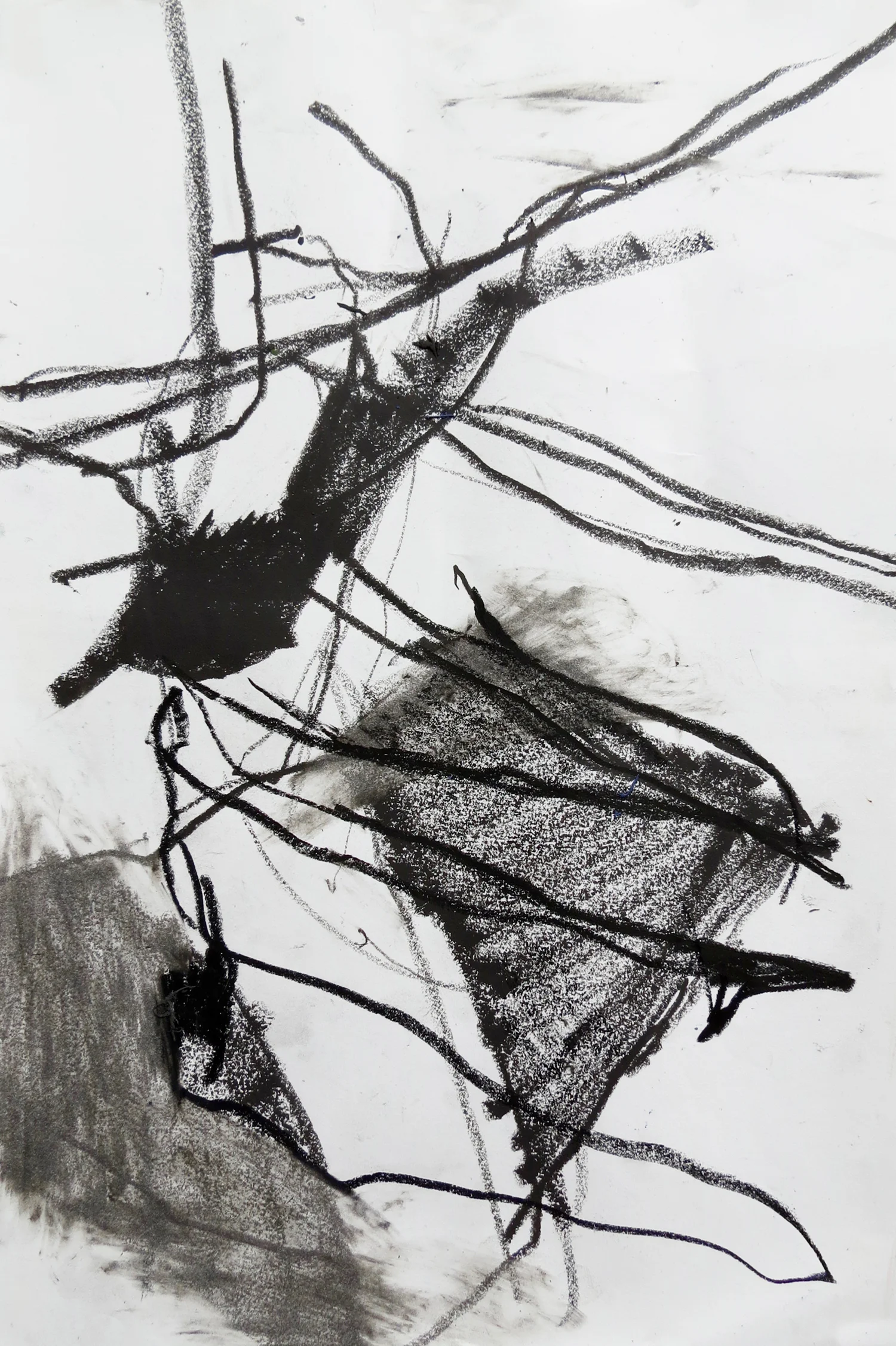 Pam Cardwell