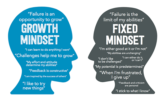 Developing a Growth Mindset