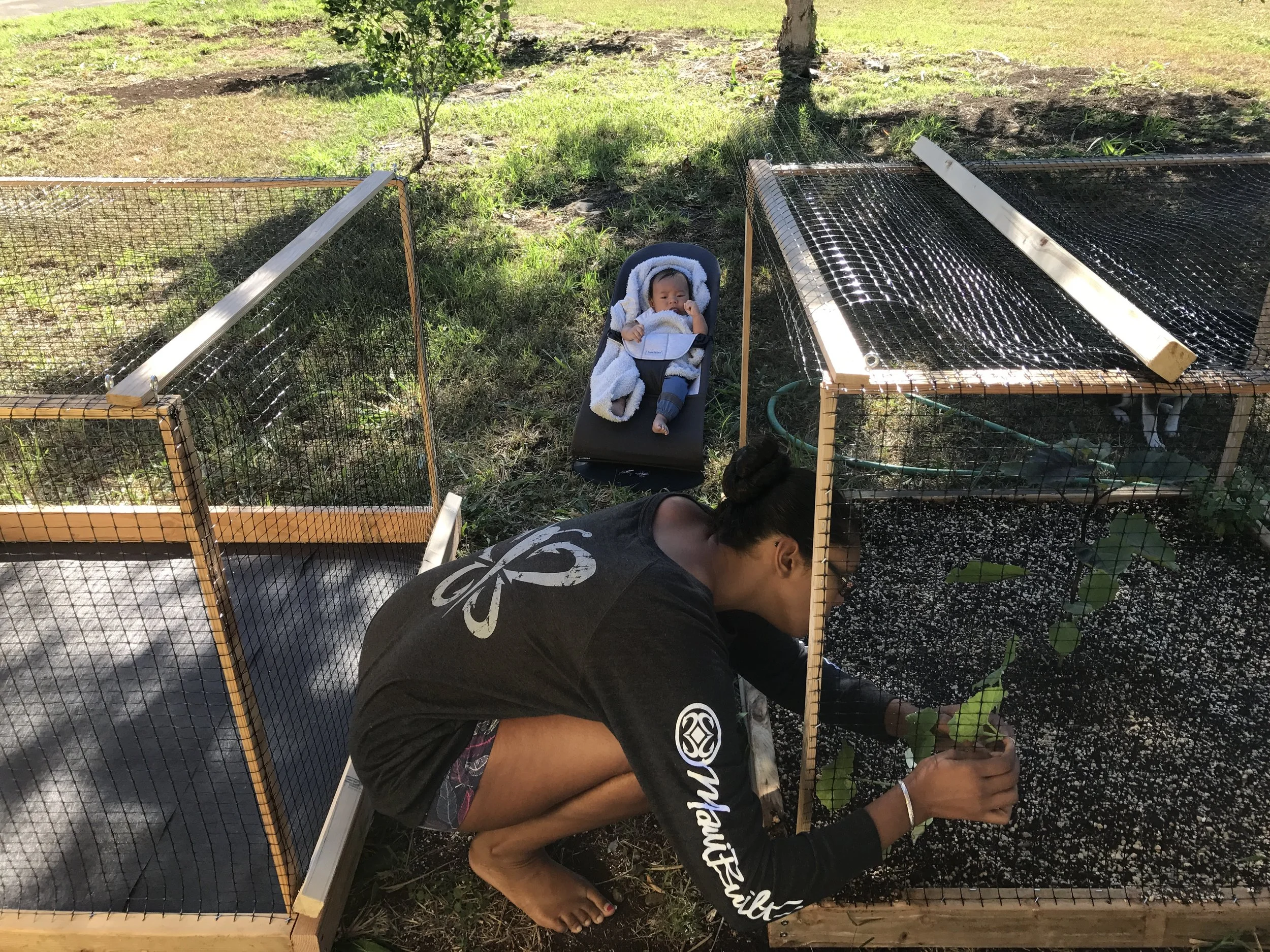 What you can't see are all of the little arugula sprouts in there!