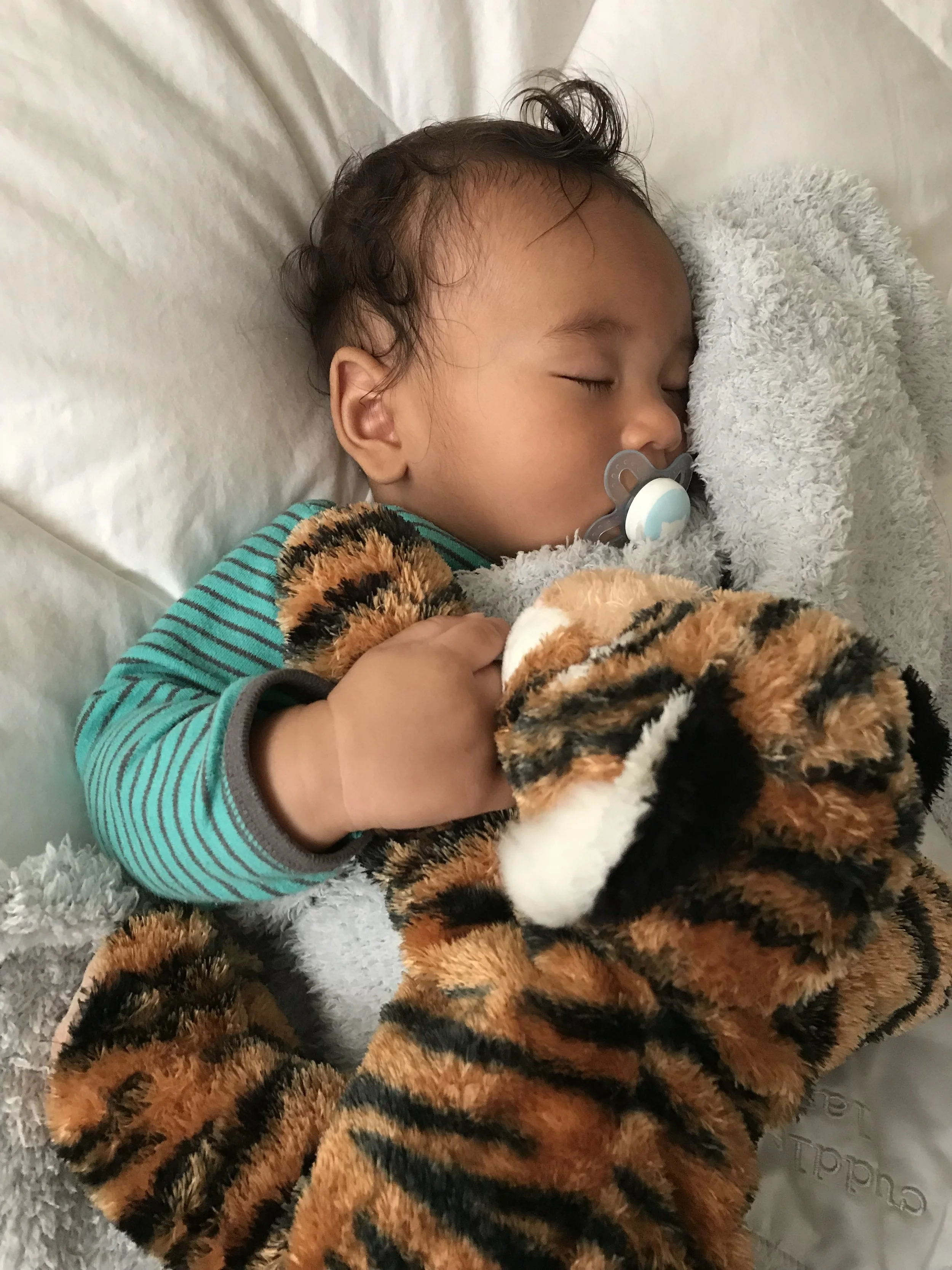 Cuteness overload.