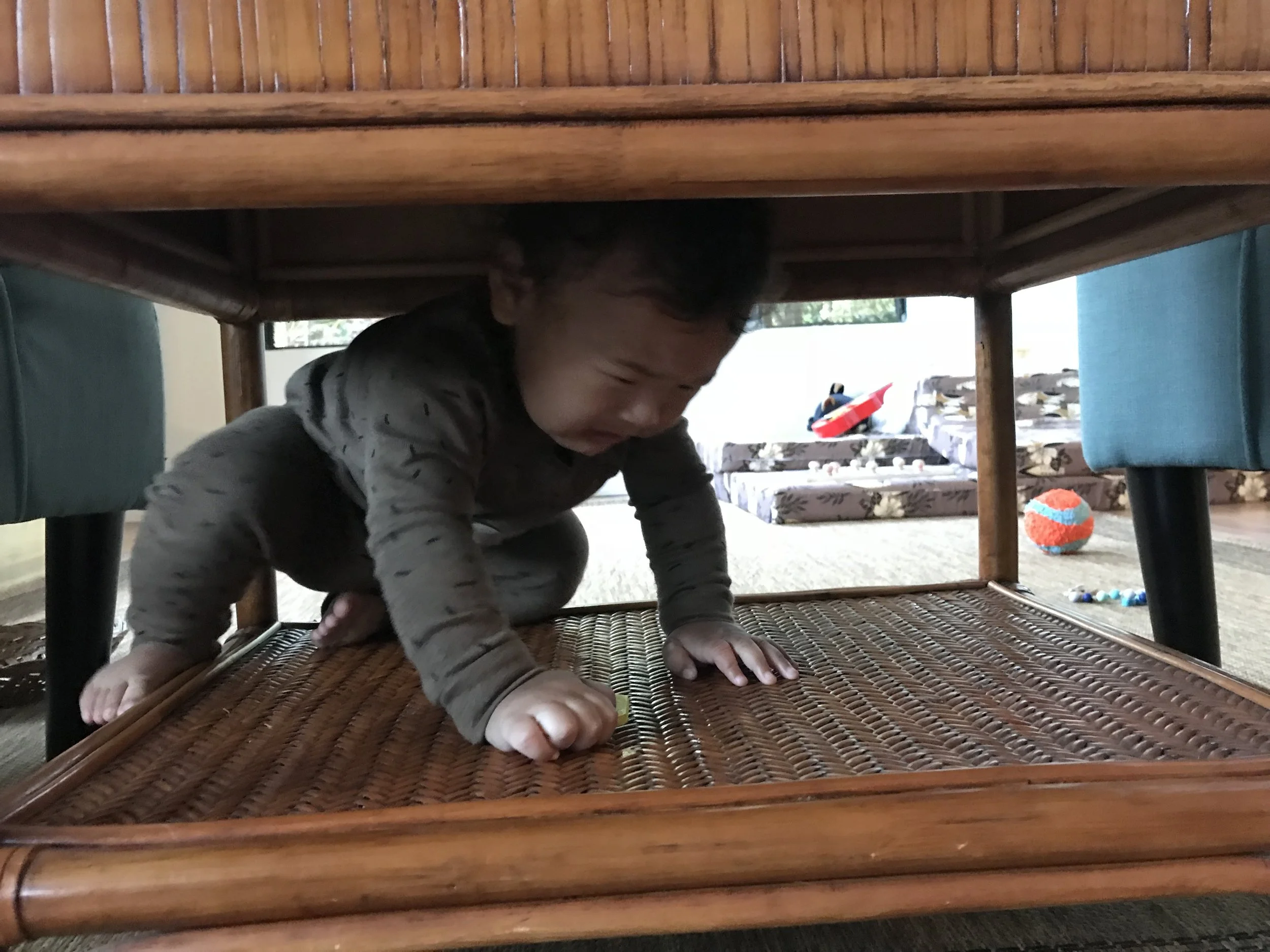 Kai, you climbed in there, you can climb out.
