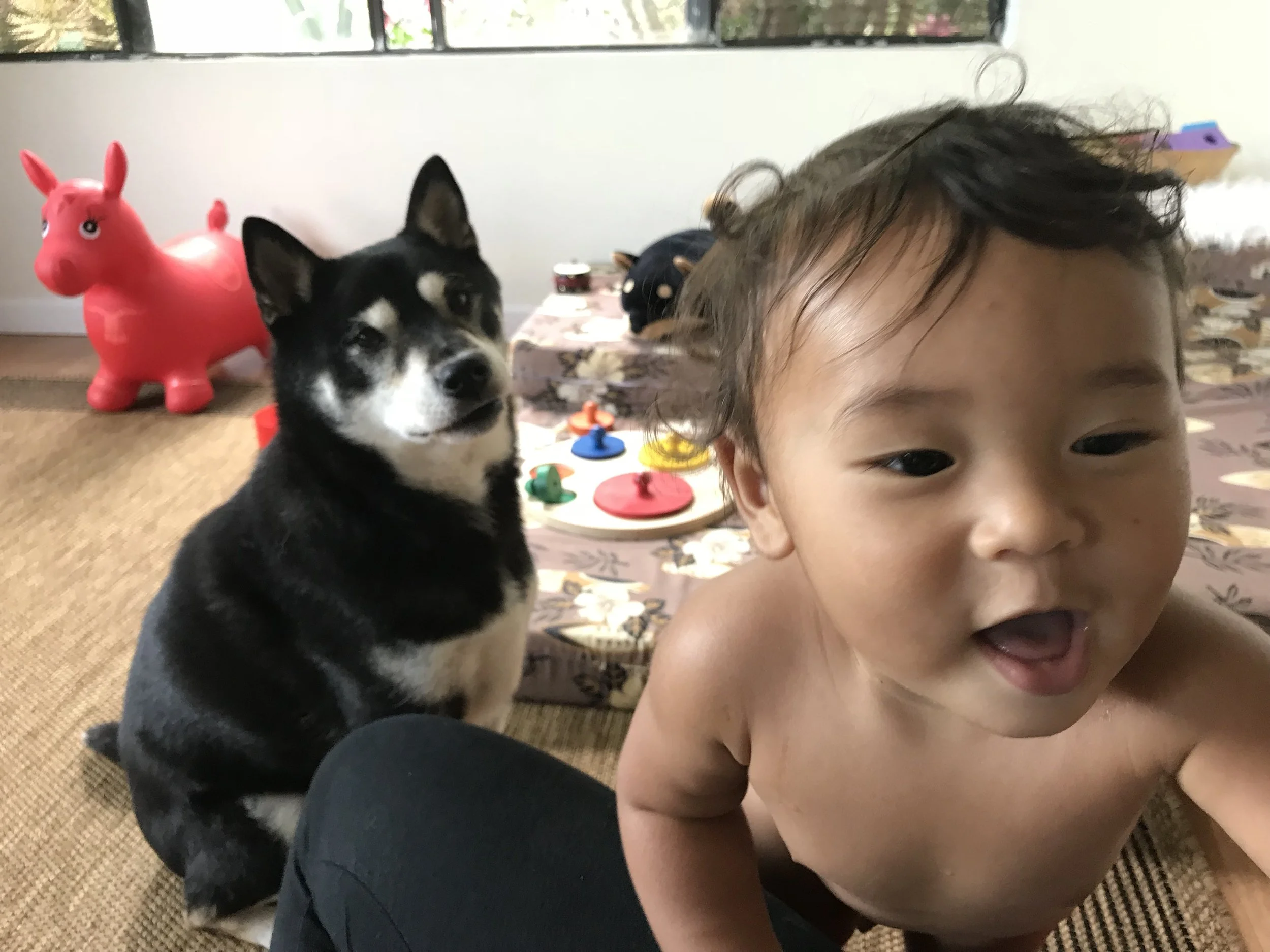 I'm 9 months old today!