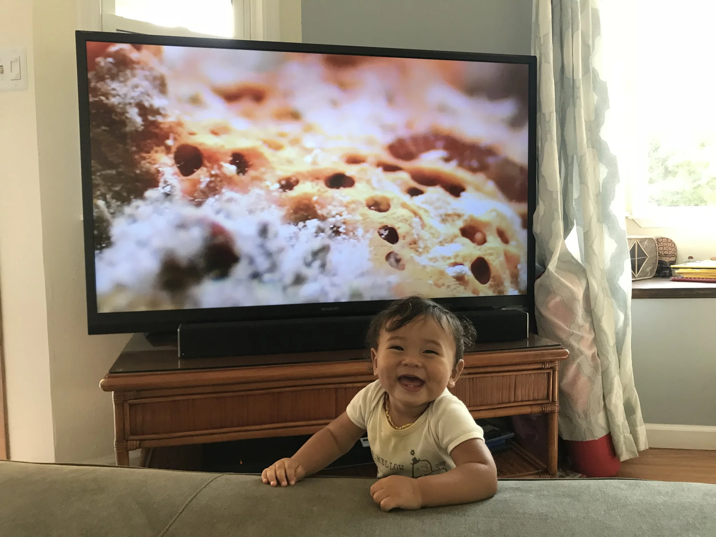 He loves nature shows.