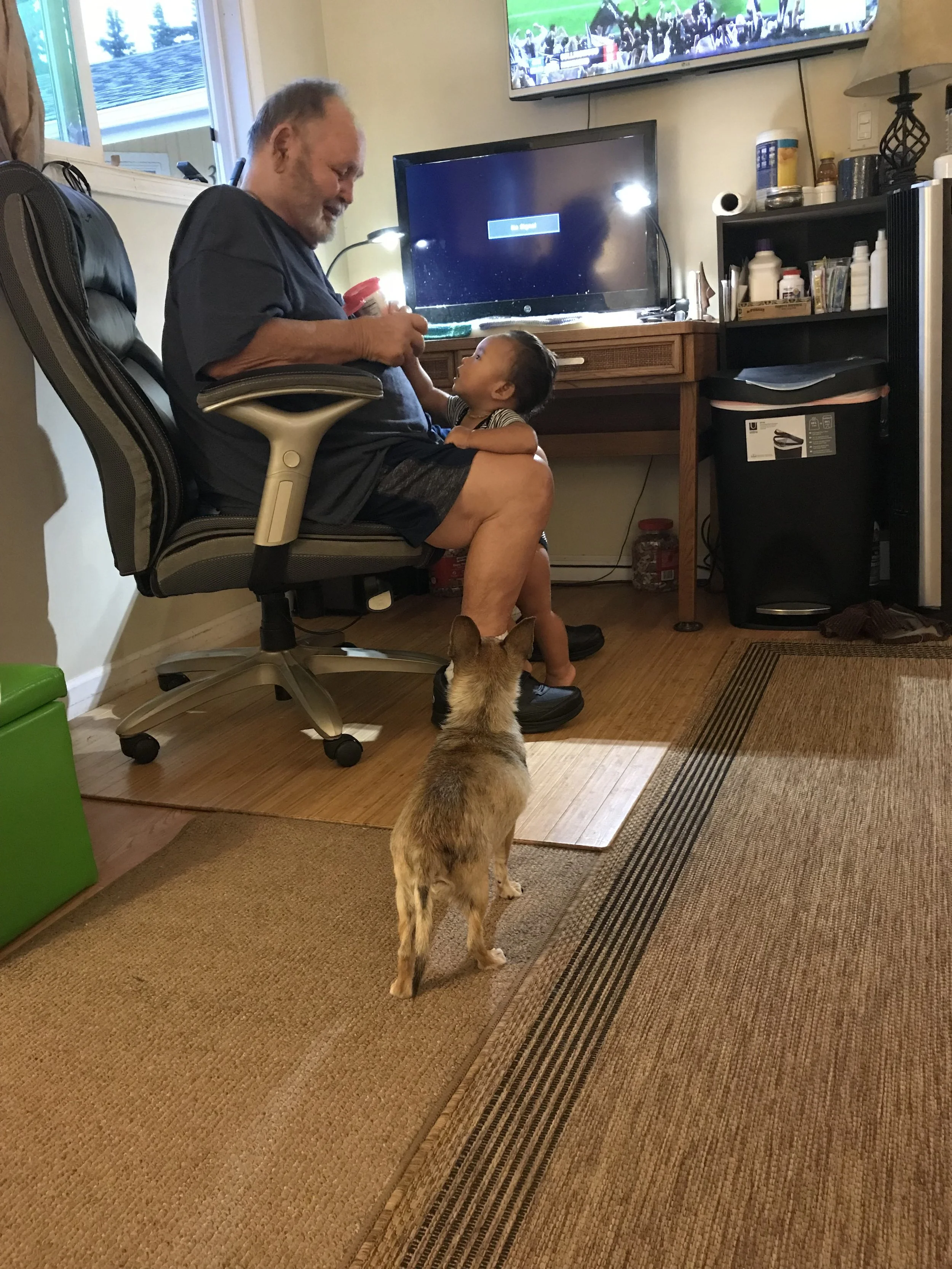 Mommy brought Papa treats to feed Kai when he feeds the dogs.