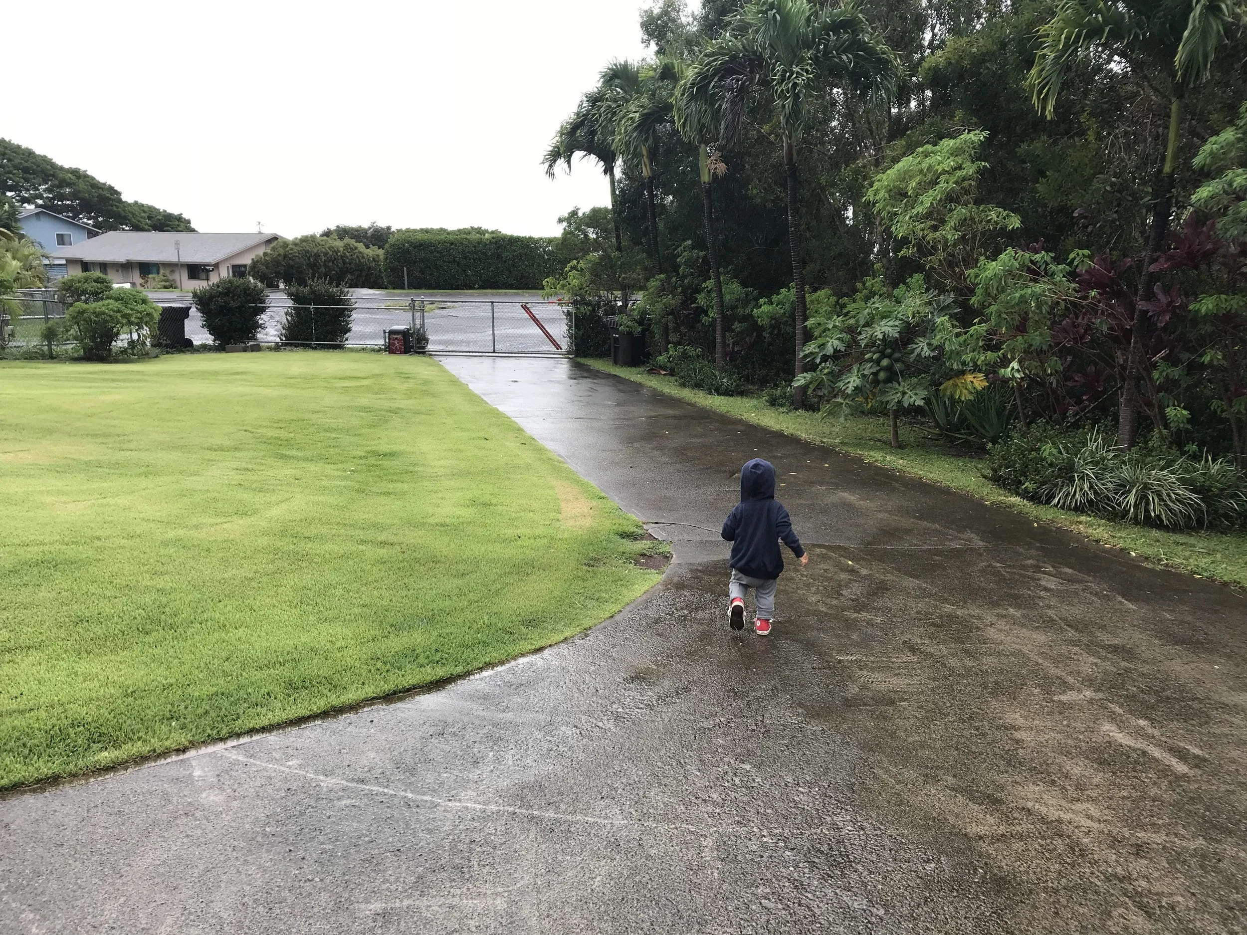 Hurricane Lane?