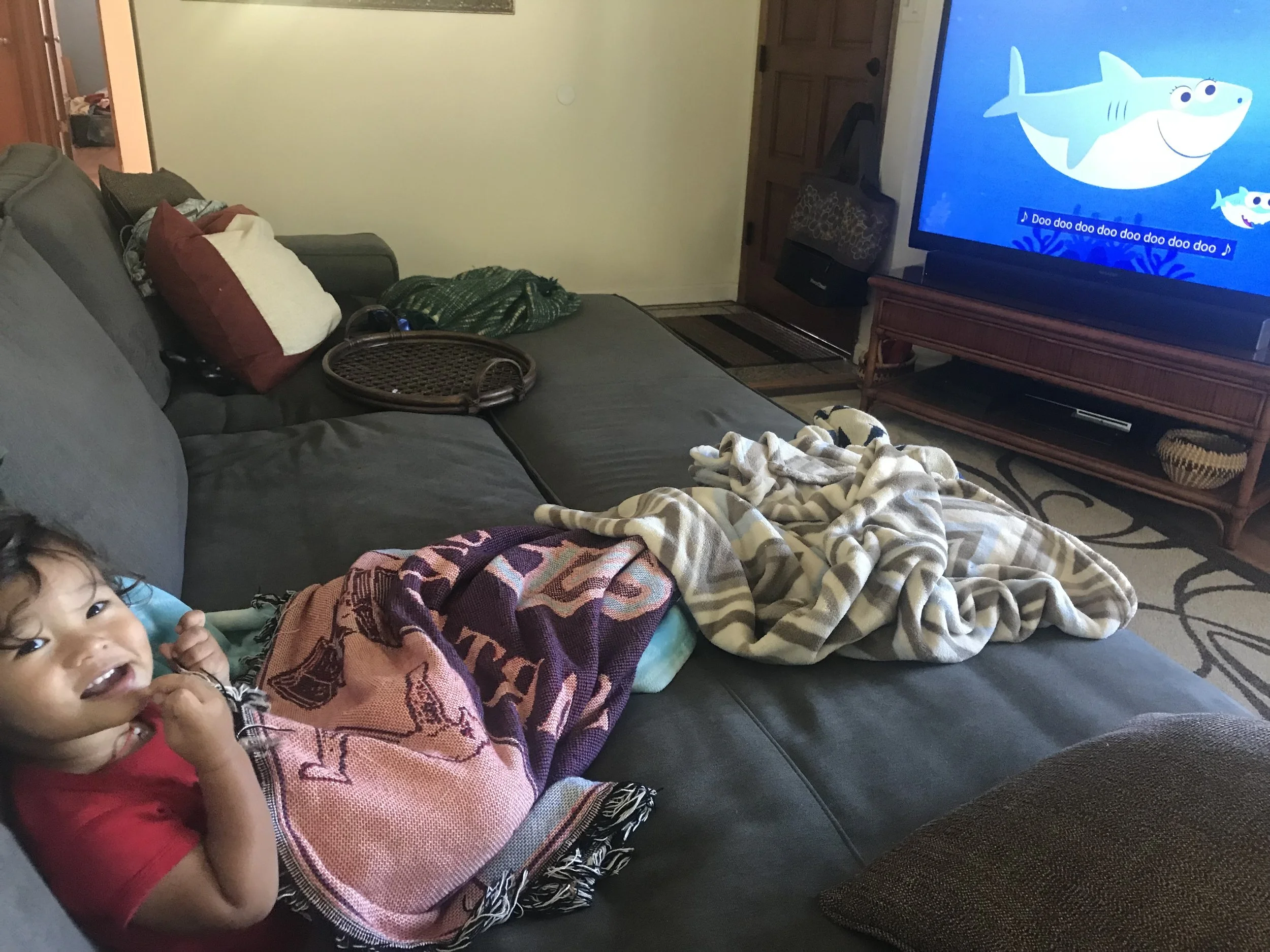Baaaaaaby shark