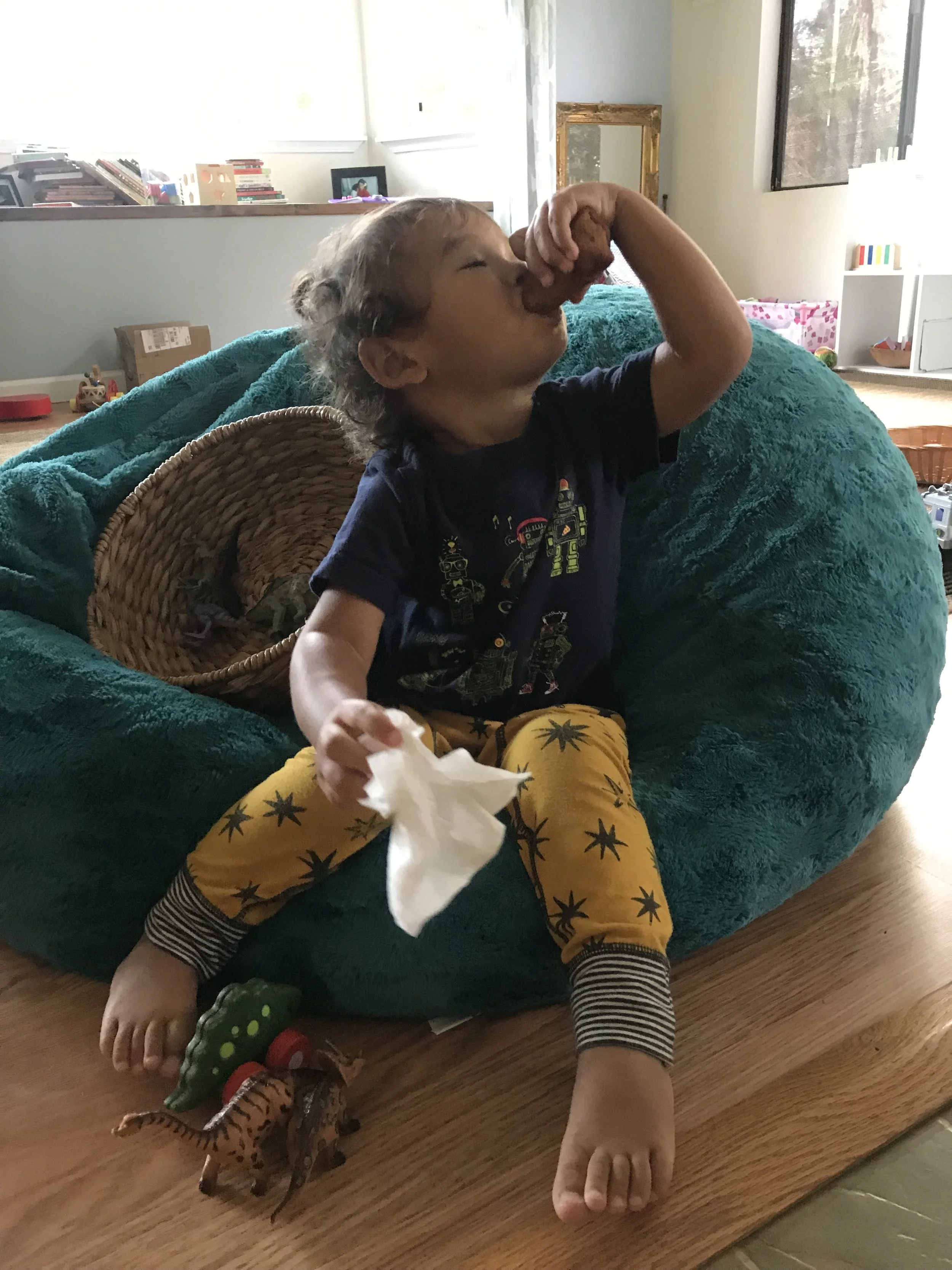 Defiant. Uncooperative. Confrontational. Toddler.