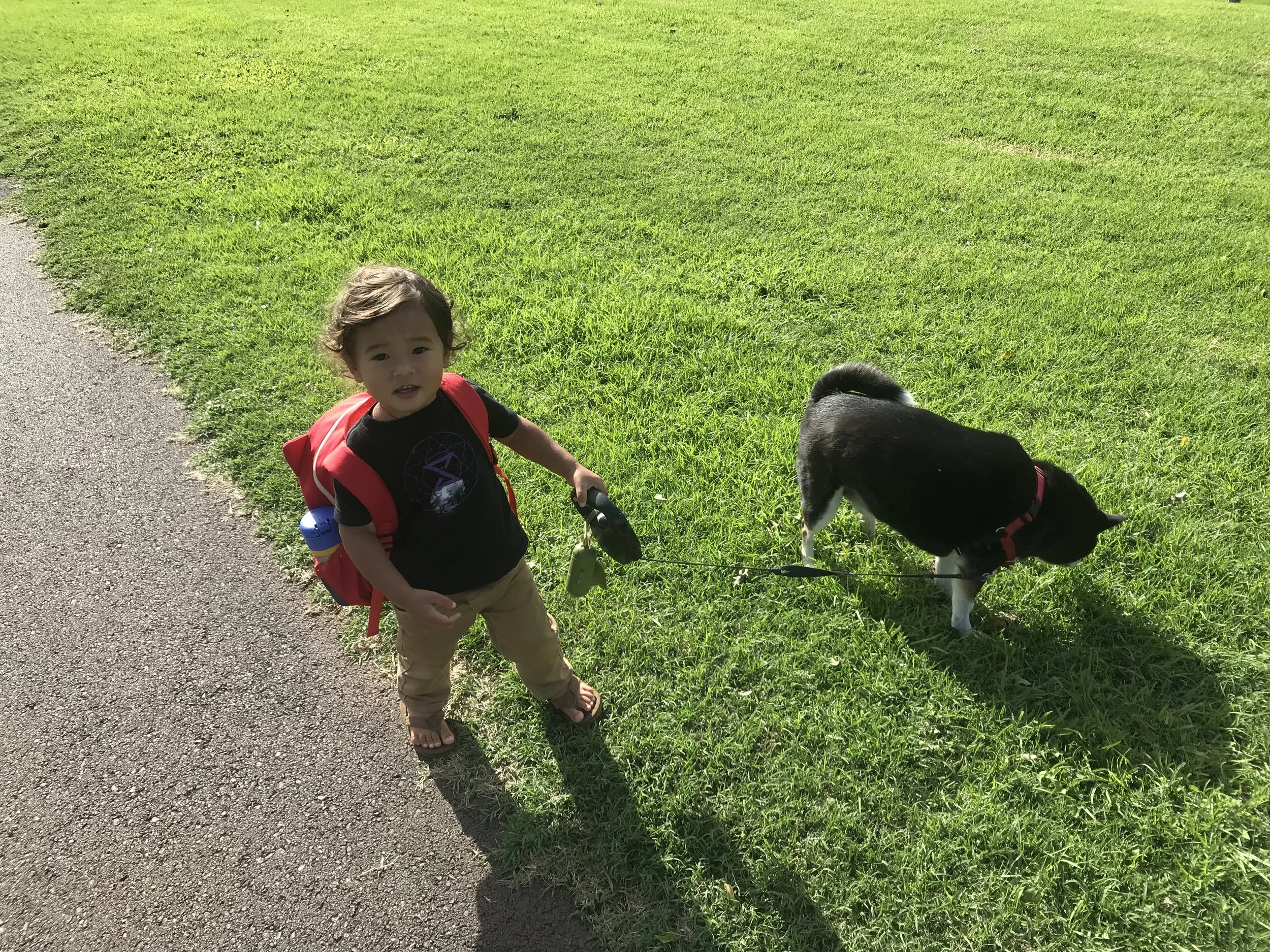 He takes him for walks at the park.