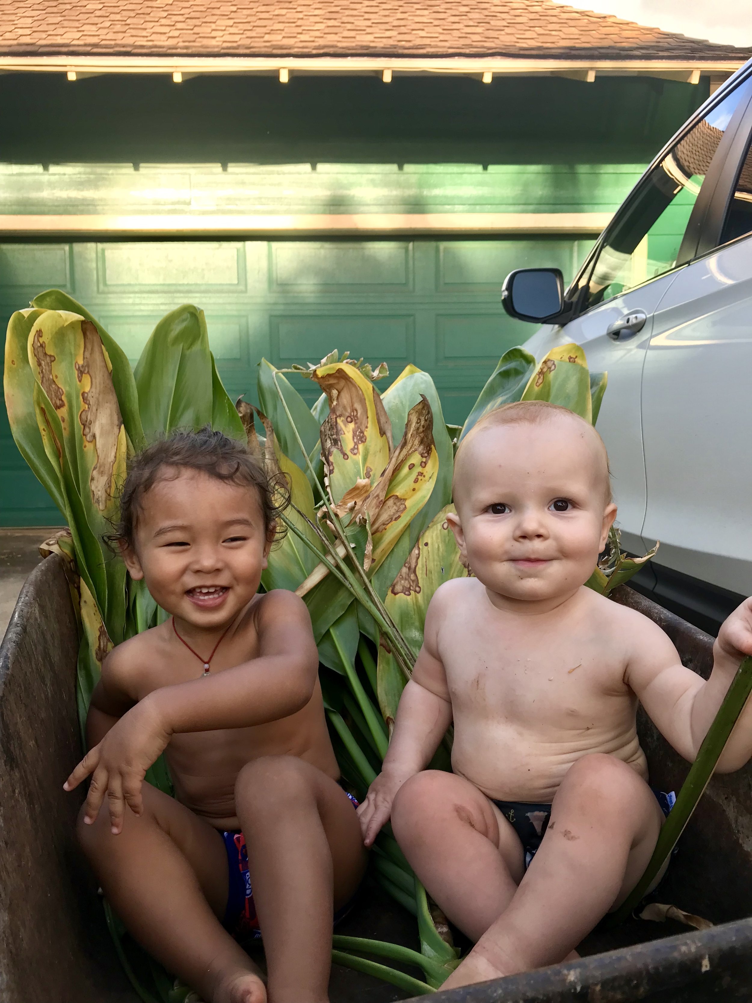 I believe these smiles are called “cheeky”.