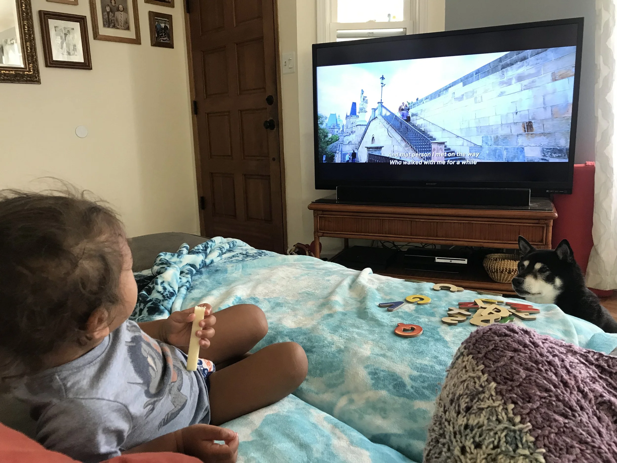 In the meantime, we will sit on the couch and eat cheese while watching Bollywood movies.