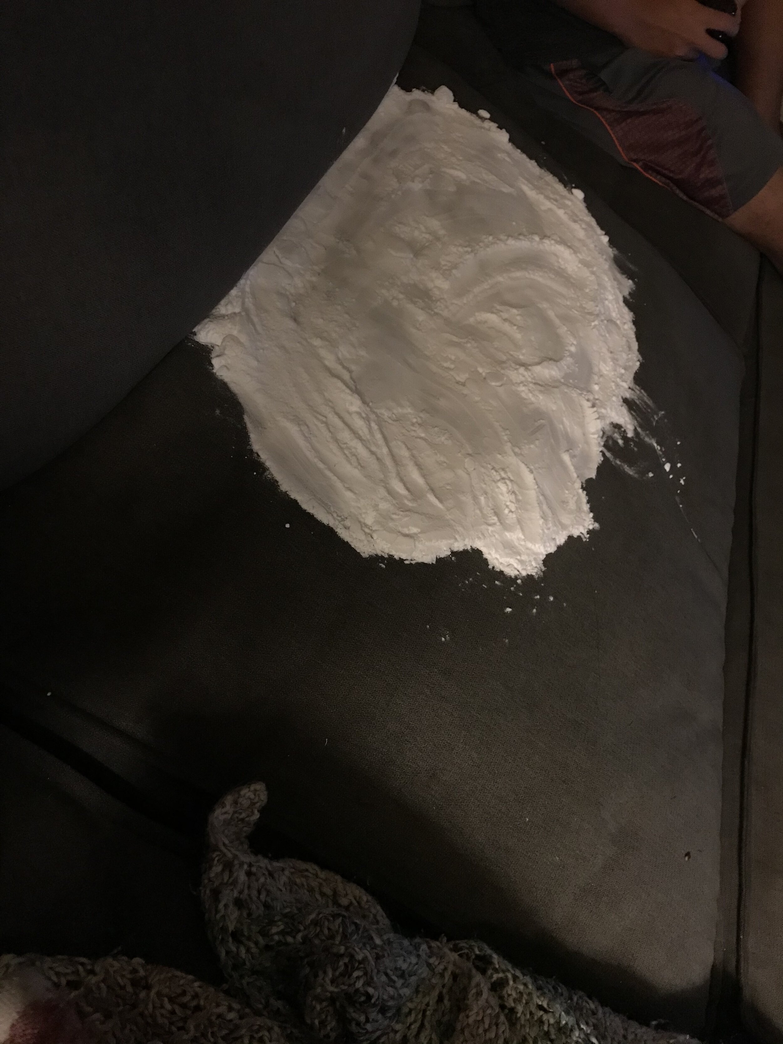 At least he didn’t pee on my freshly cleaned couch, Kai….