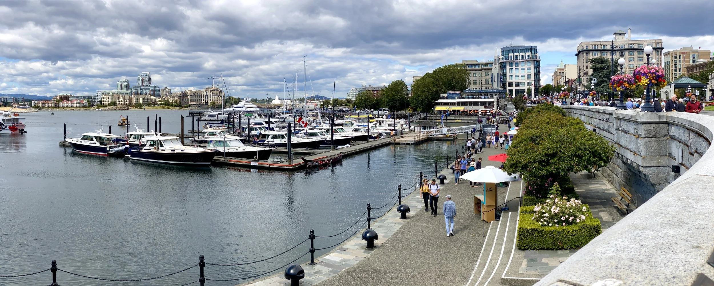 Sabre/BackCove Rendezvous — Bellingham Yachts