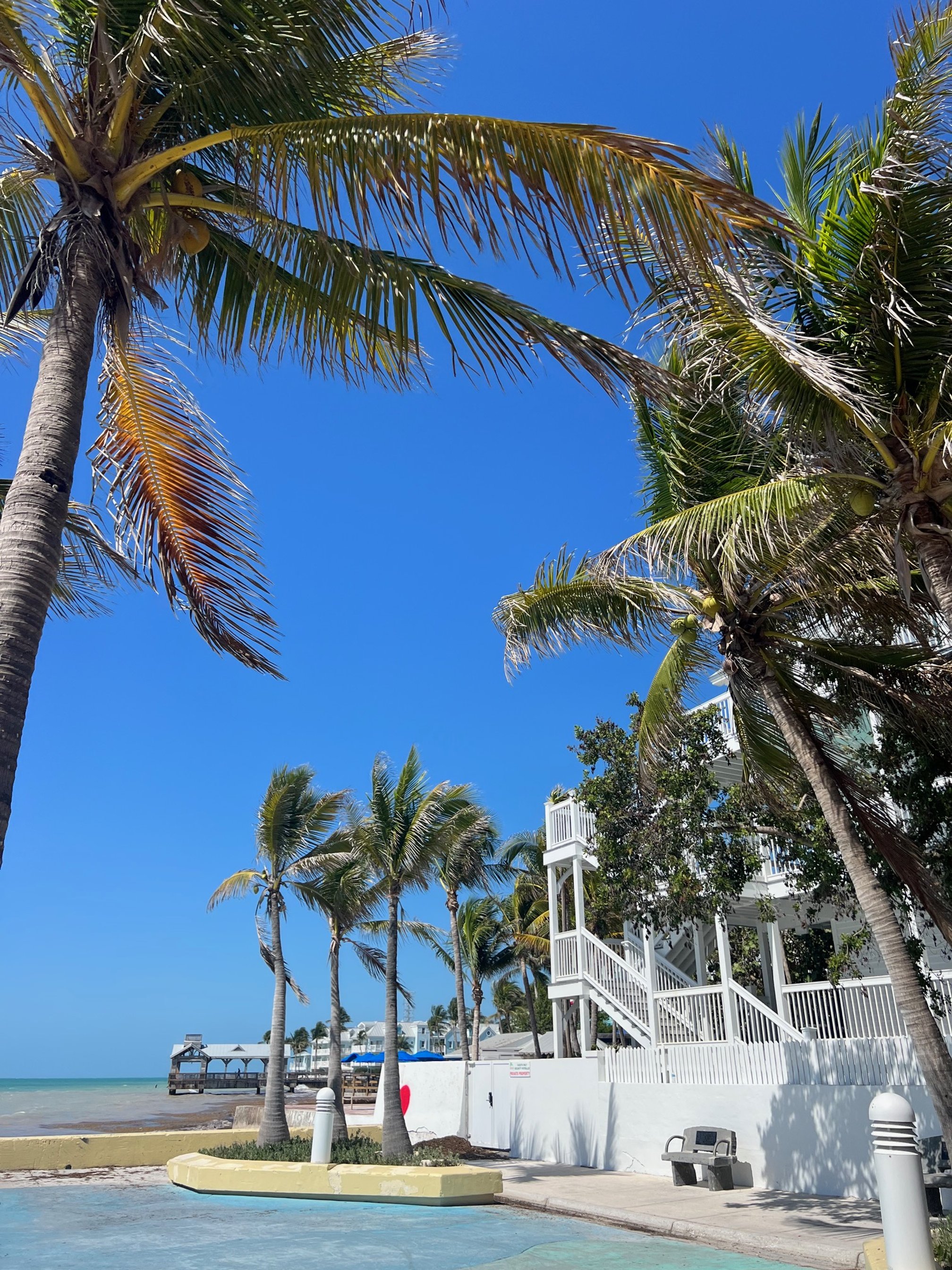 KEY WEST TRAVEL GUIDE