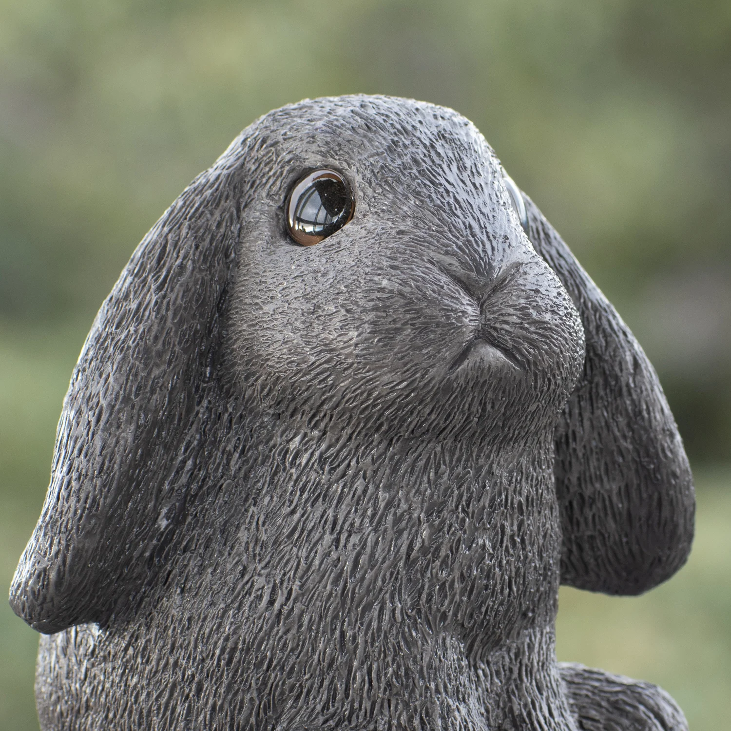 Basil-for-squarespace.jpg