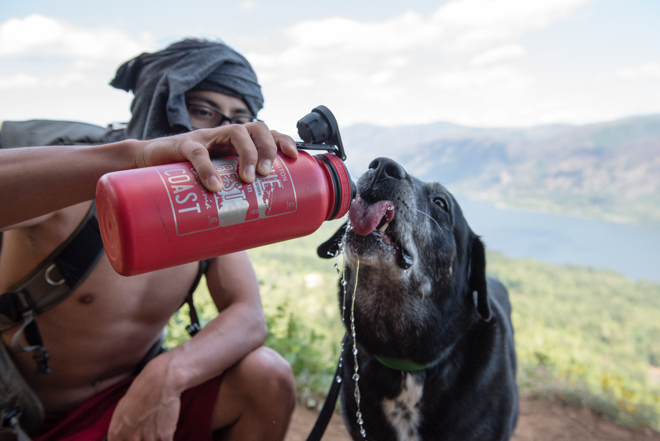 Iconic 32oz Sport Water Bottle - Navy Blue