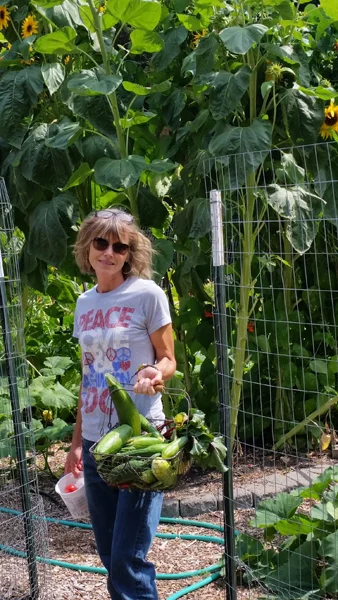 tami_sunflowers_sm.jpg