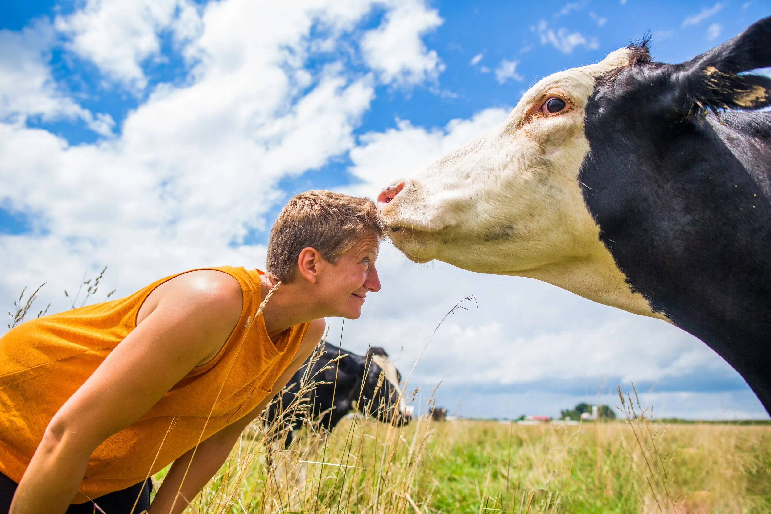 Paradise Horizontal 1.jpg